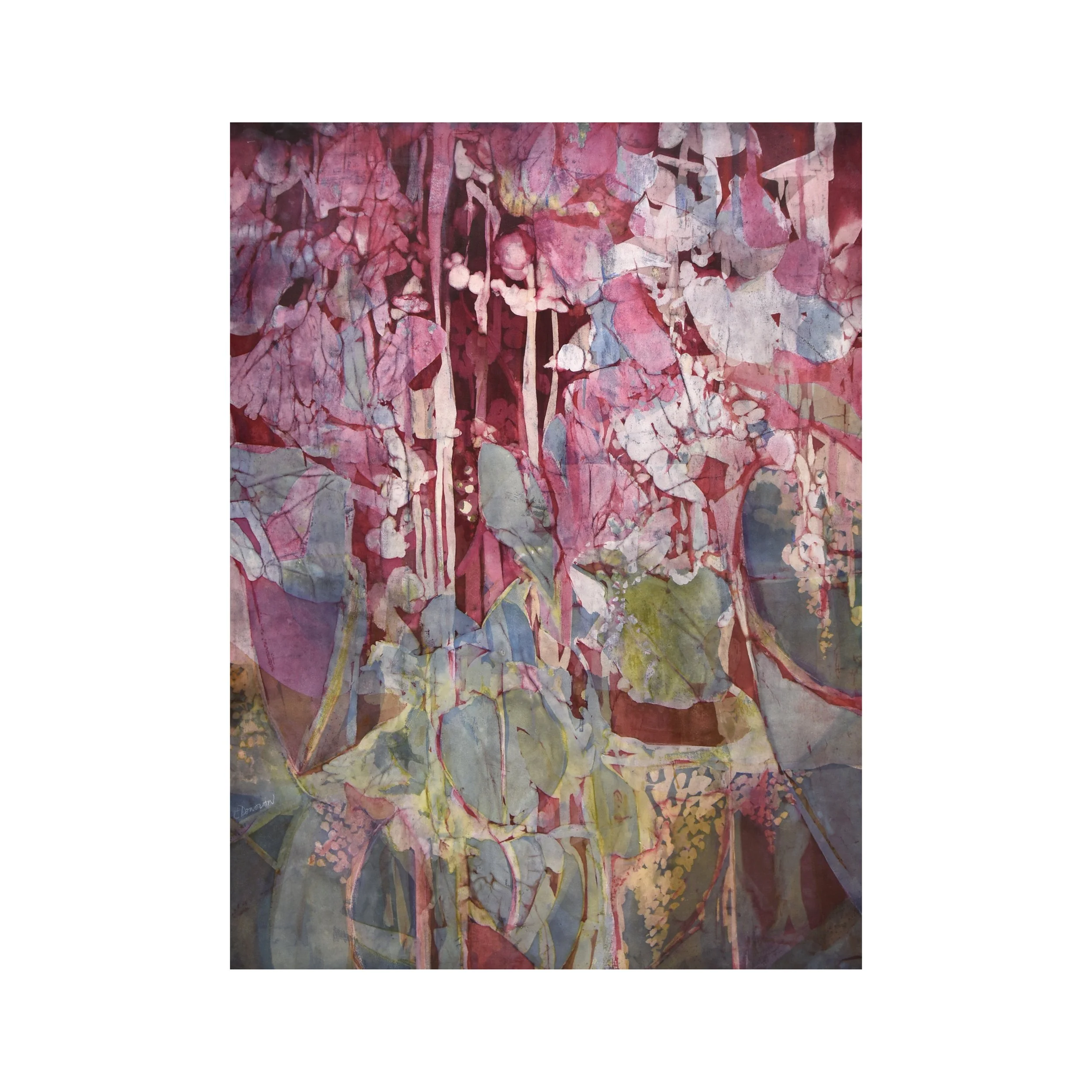 catalpafull copy.jpg