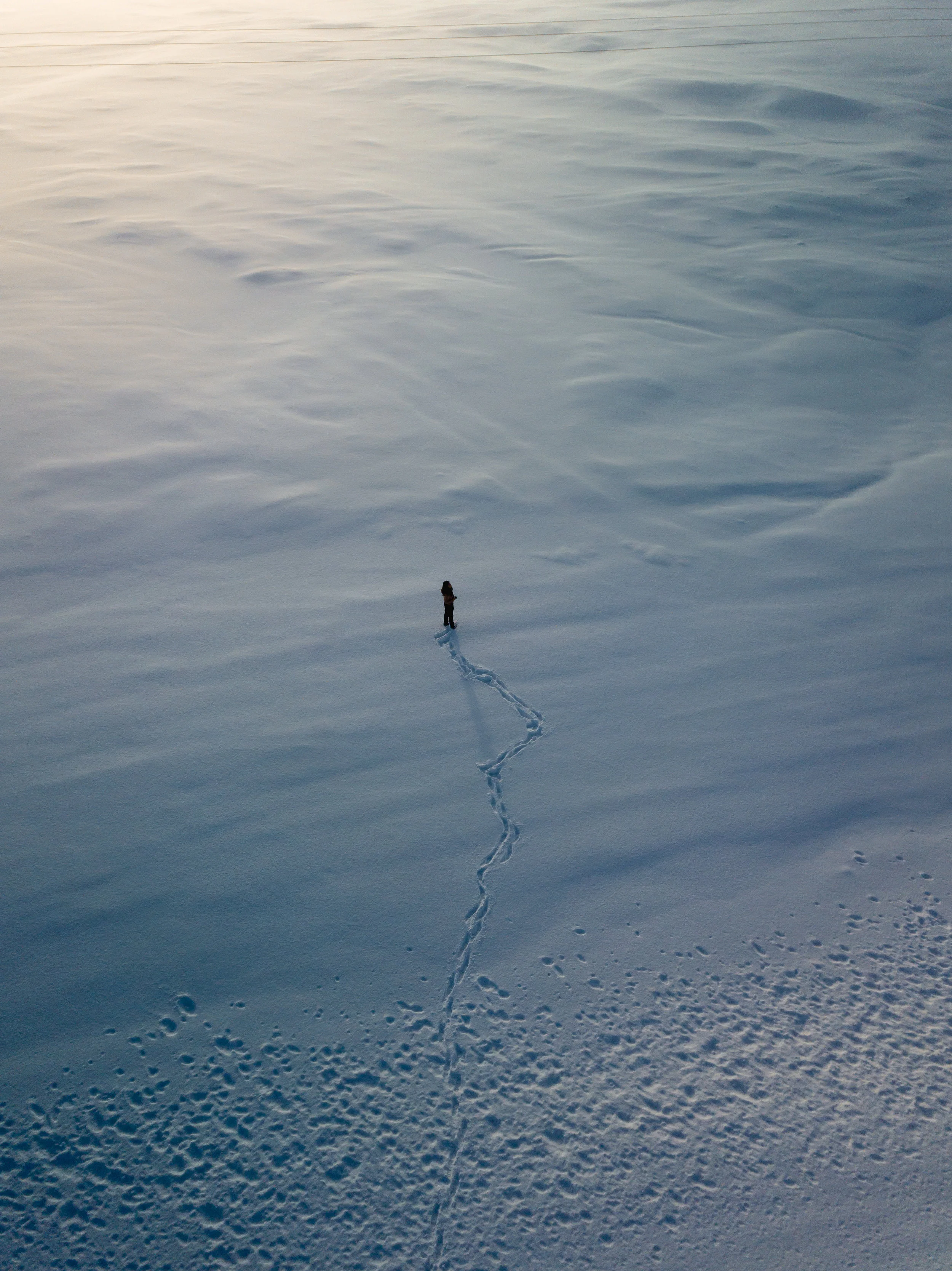 DJI_0618-1.jpg
