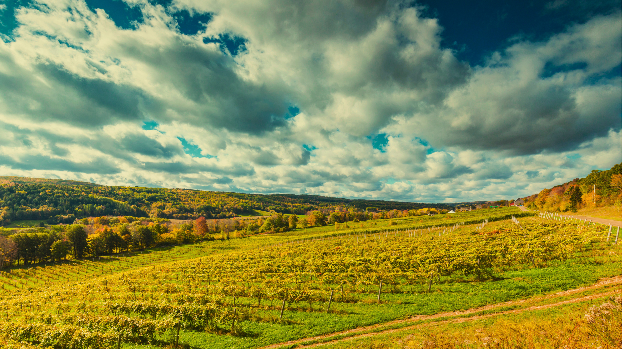 EQS_Banner Image.png