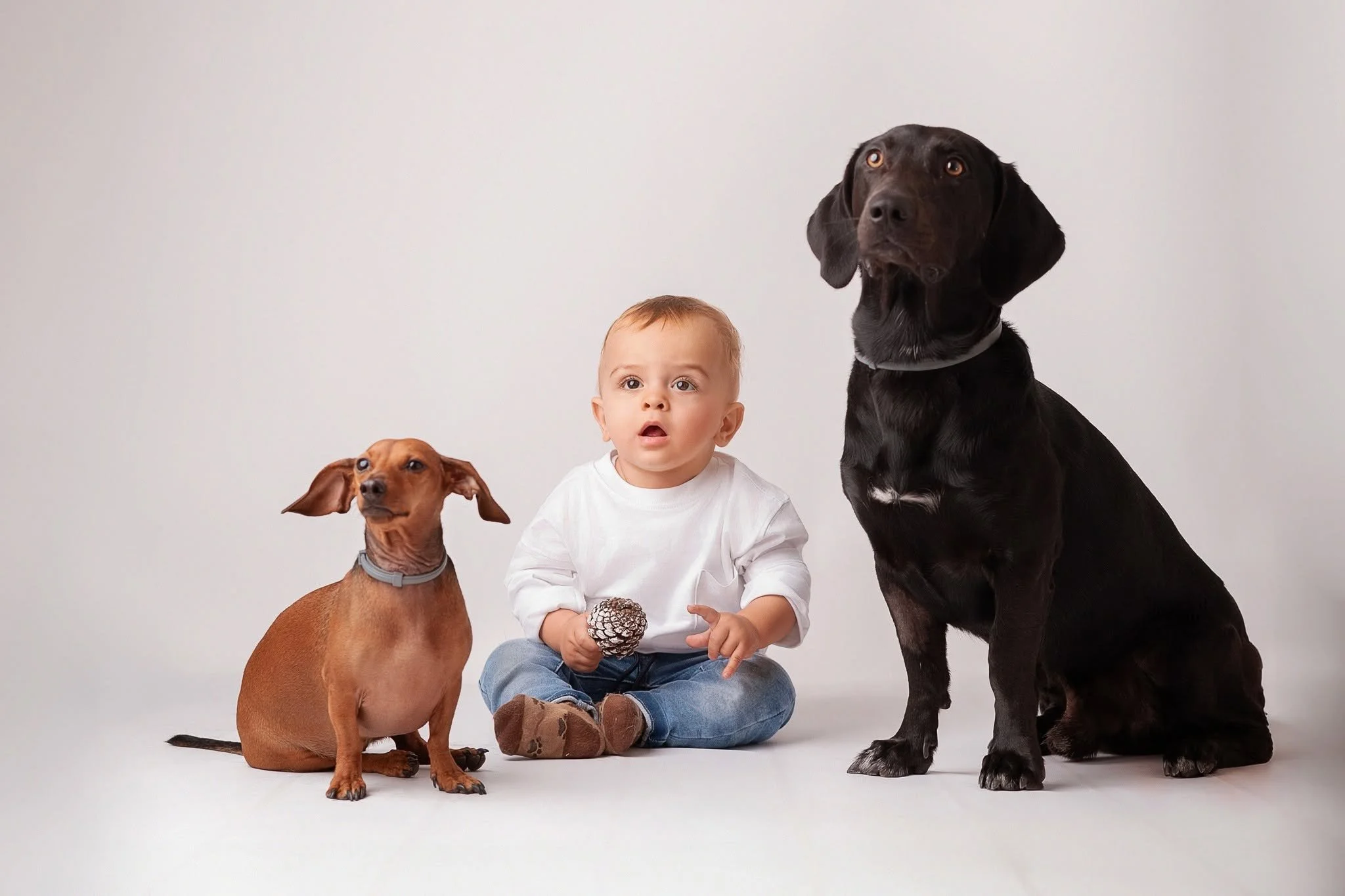 Obiteljsko fotografiranje, obiteljsko slikanje, family session, obitelj, bebe, djeca, obiteljsko fotografiranje cijena, fotografiranje ljubimaca, slikanje pasa, fotografiranje pasa