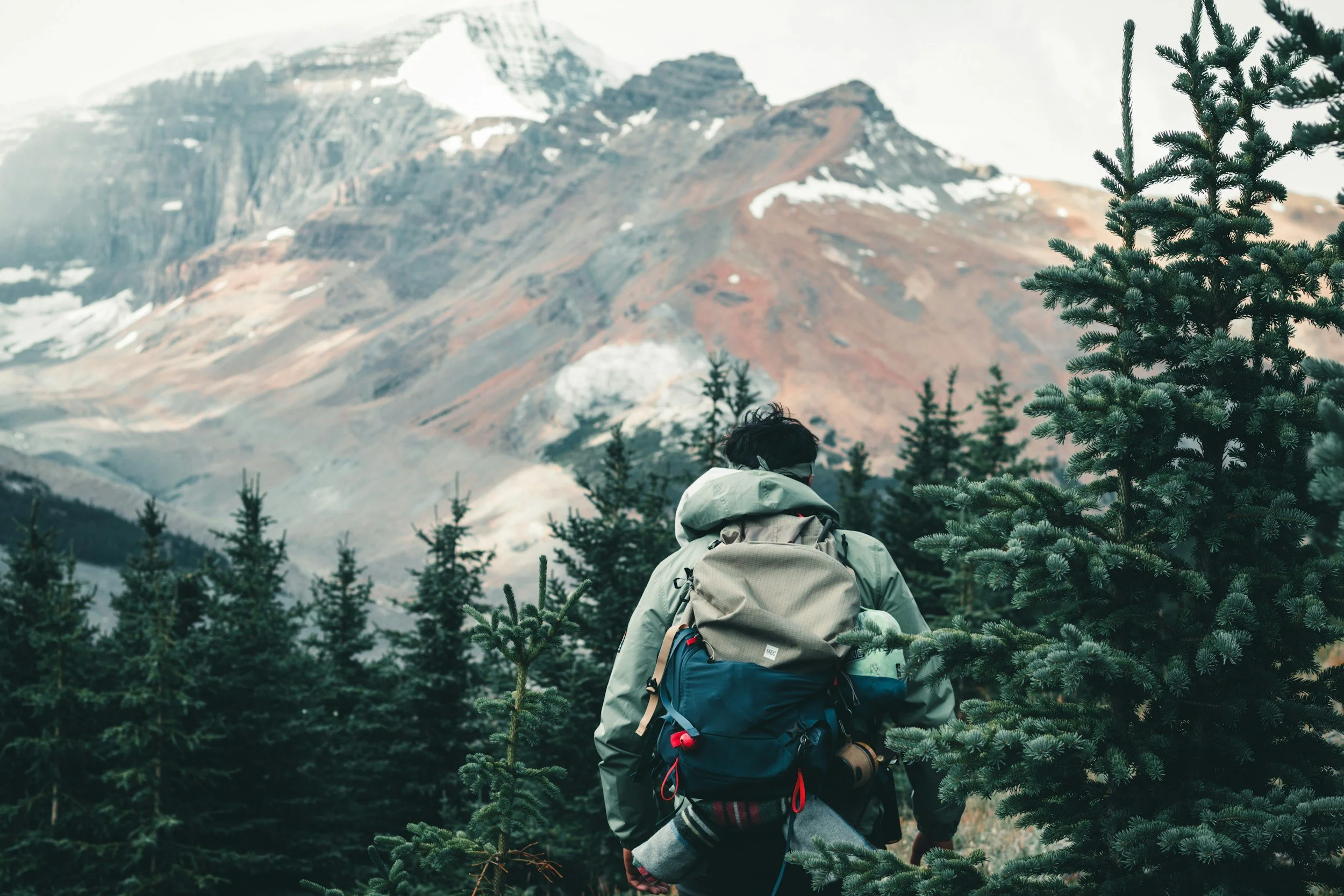 unsplash-image-YsrWdRIt5cs.jpg