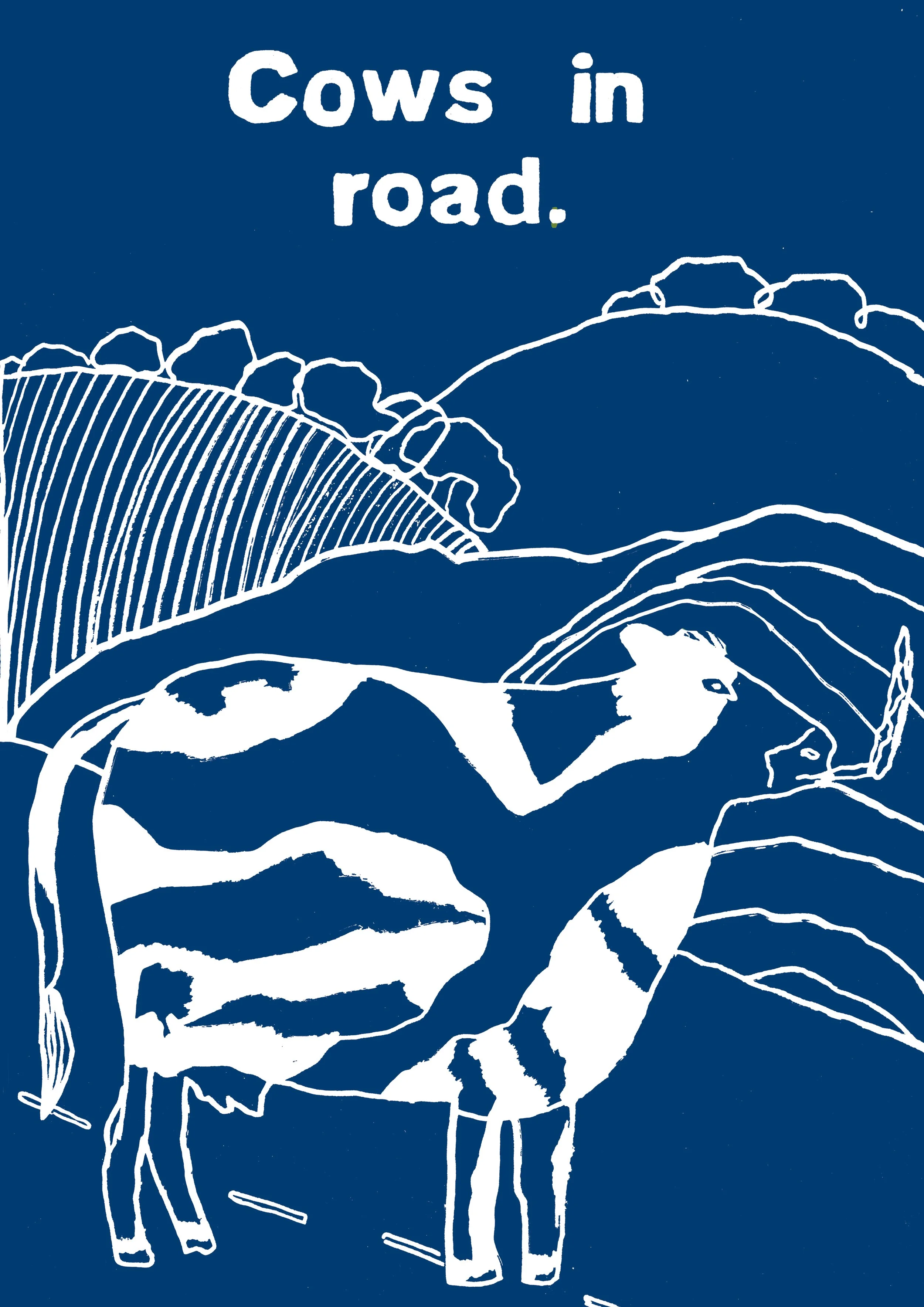 cows in road blue .jpg