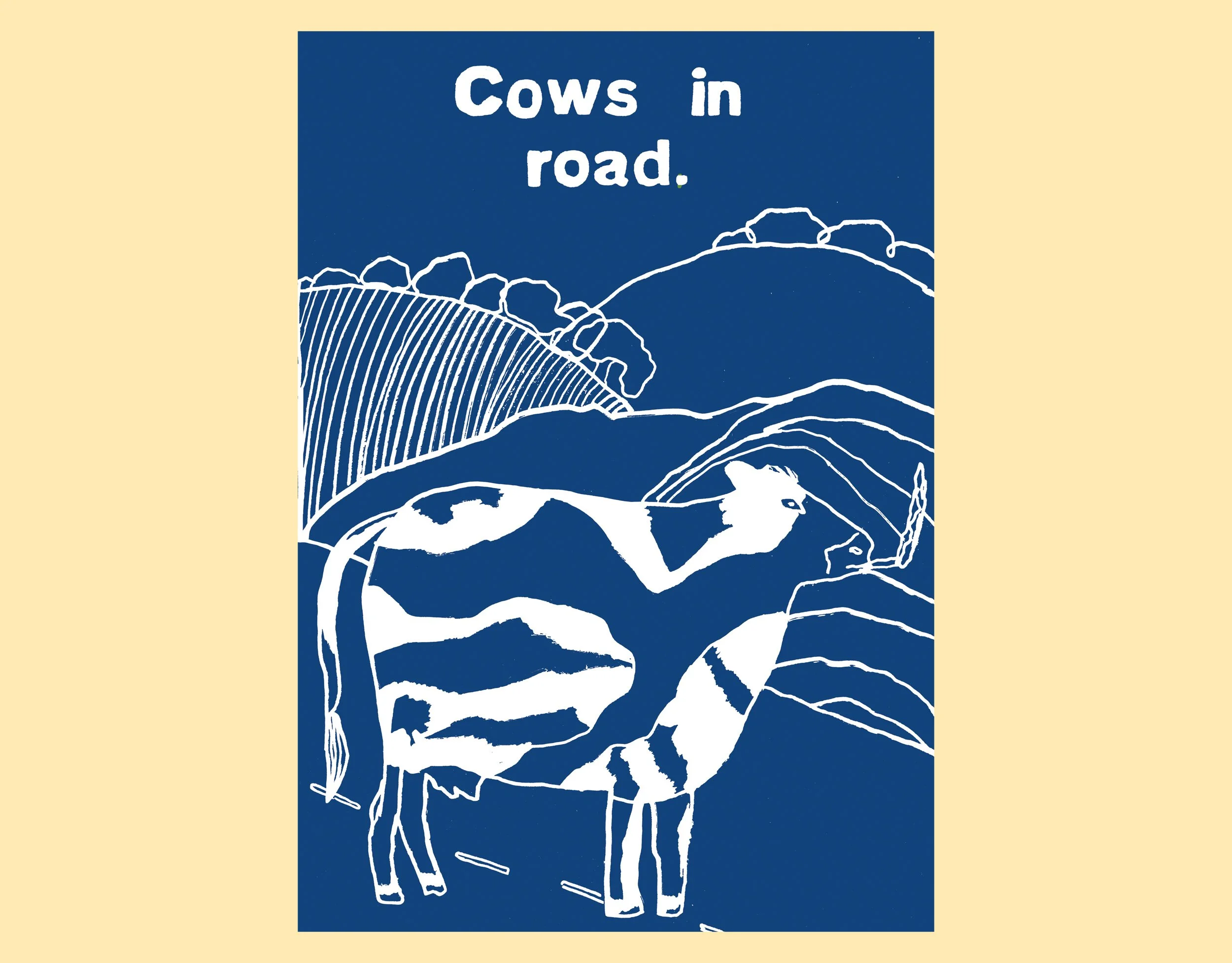 COWS IN ROAD FOR SHOP .jpg