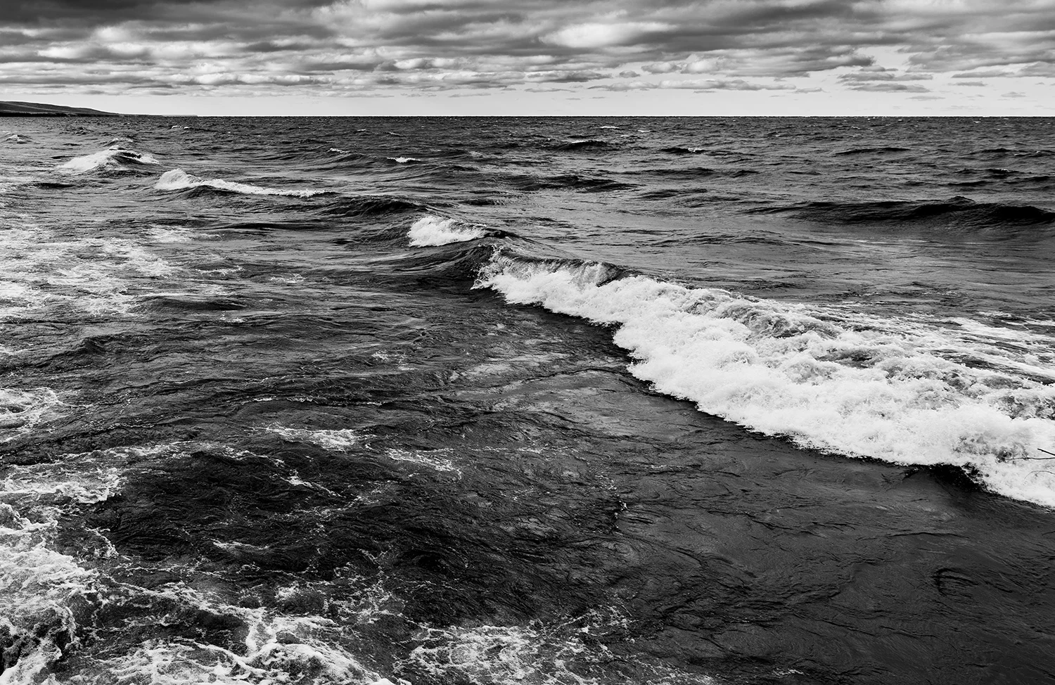 _DSC6287.jpg