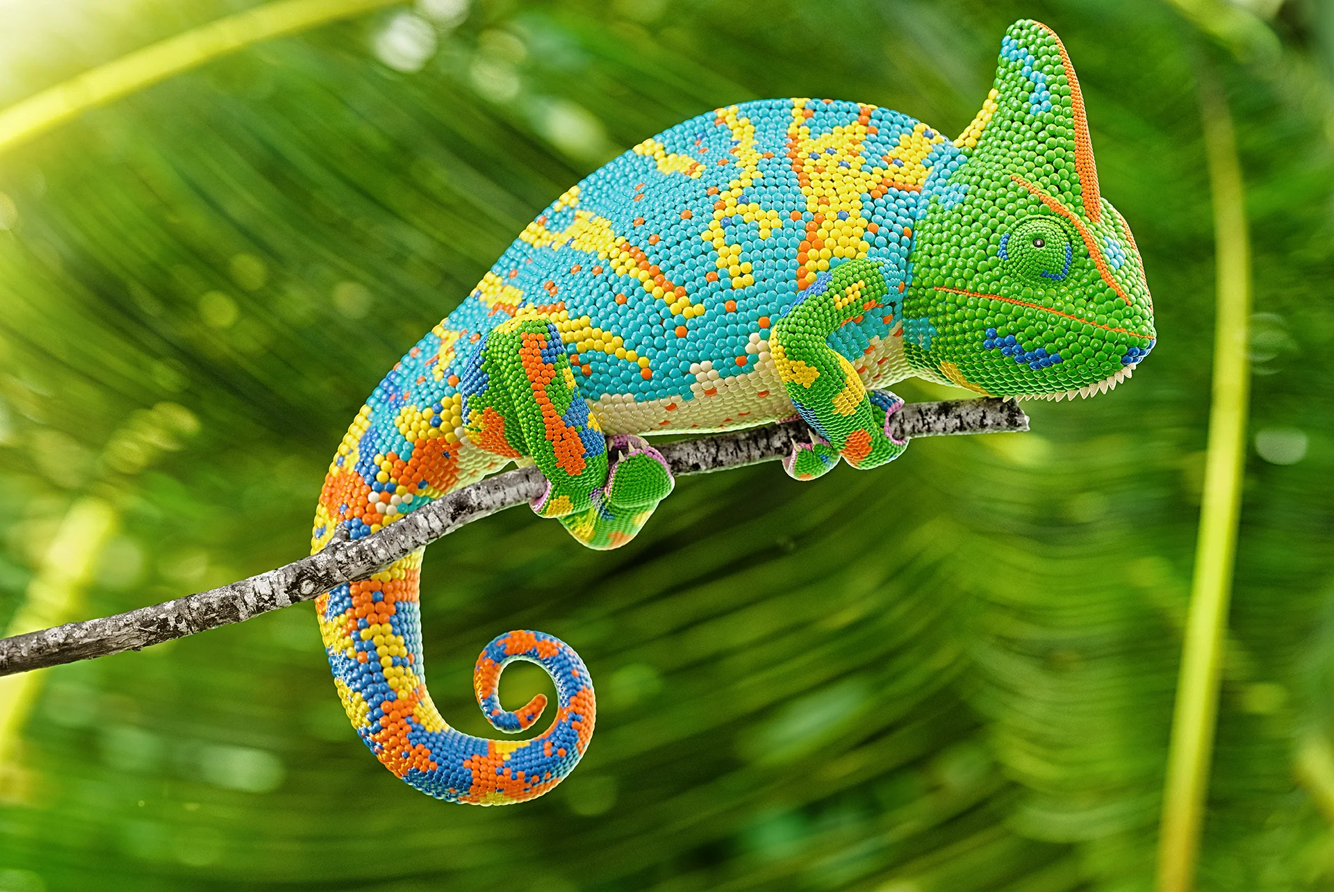 chameleon.jpg