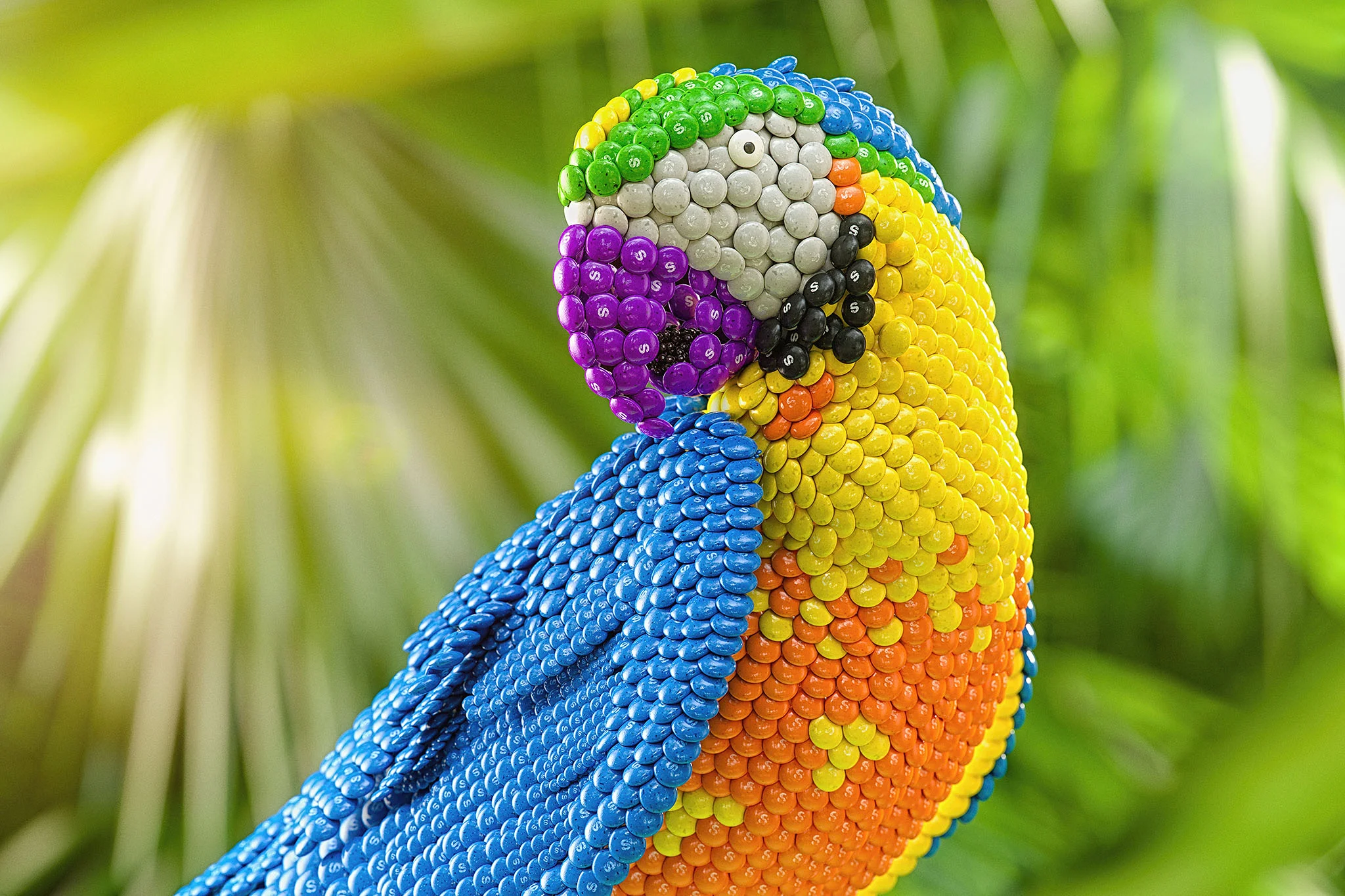 macaw_lr.jpg