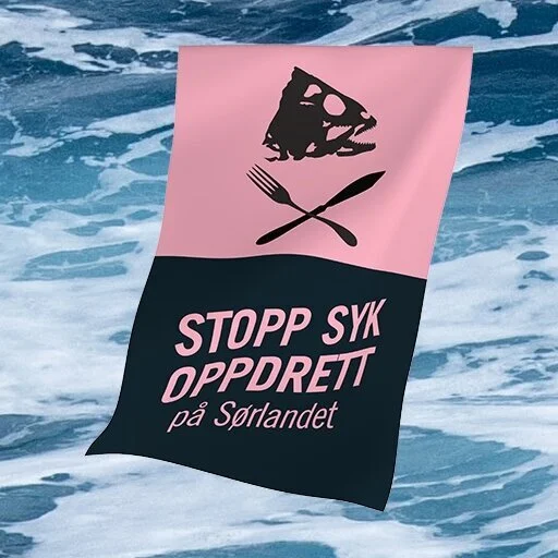 flagg%2Btil%2Bfyr2.jpg