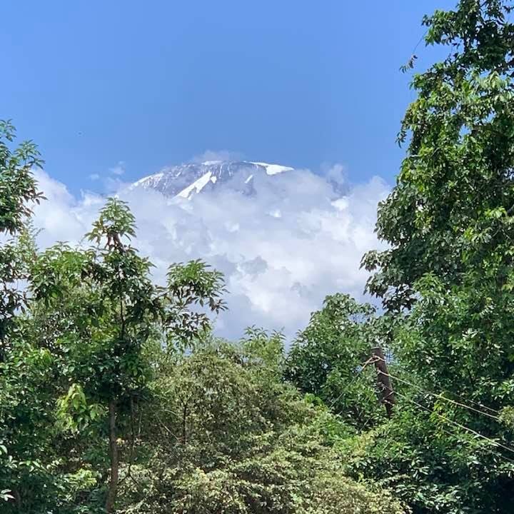 The Kilimanjaro Series: Always