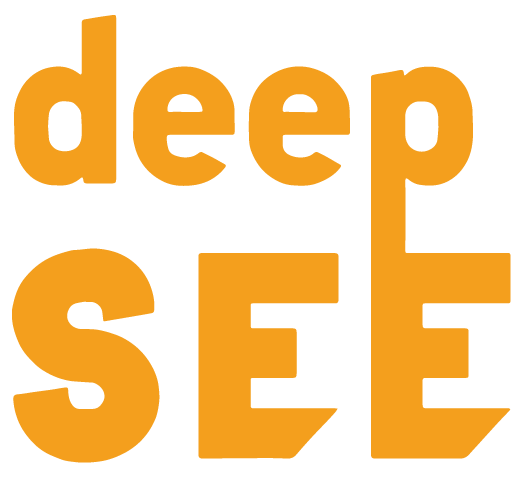 deepSEE Consulting