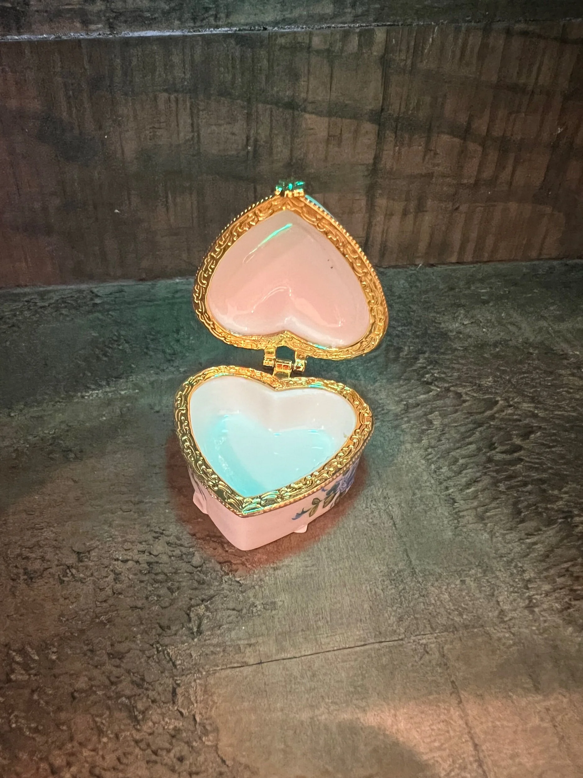 19D9566B-268B-425B-8BC3-AD679B3D58F8