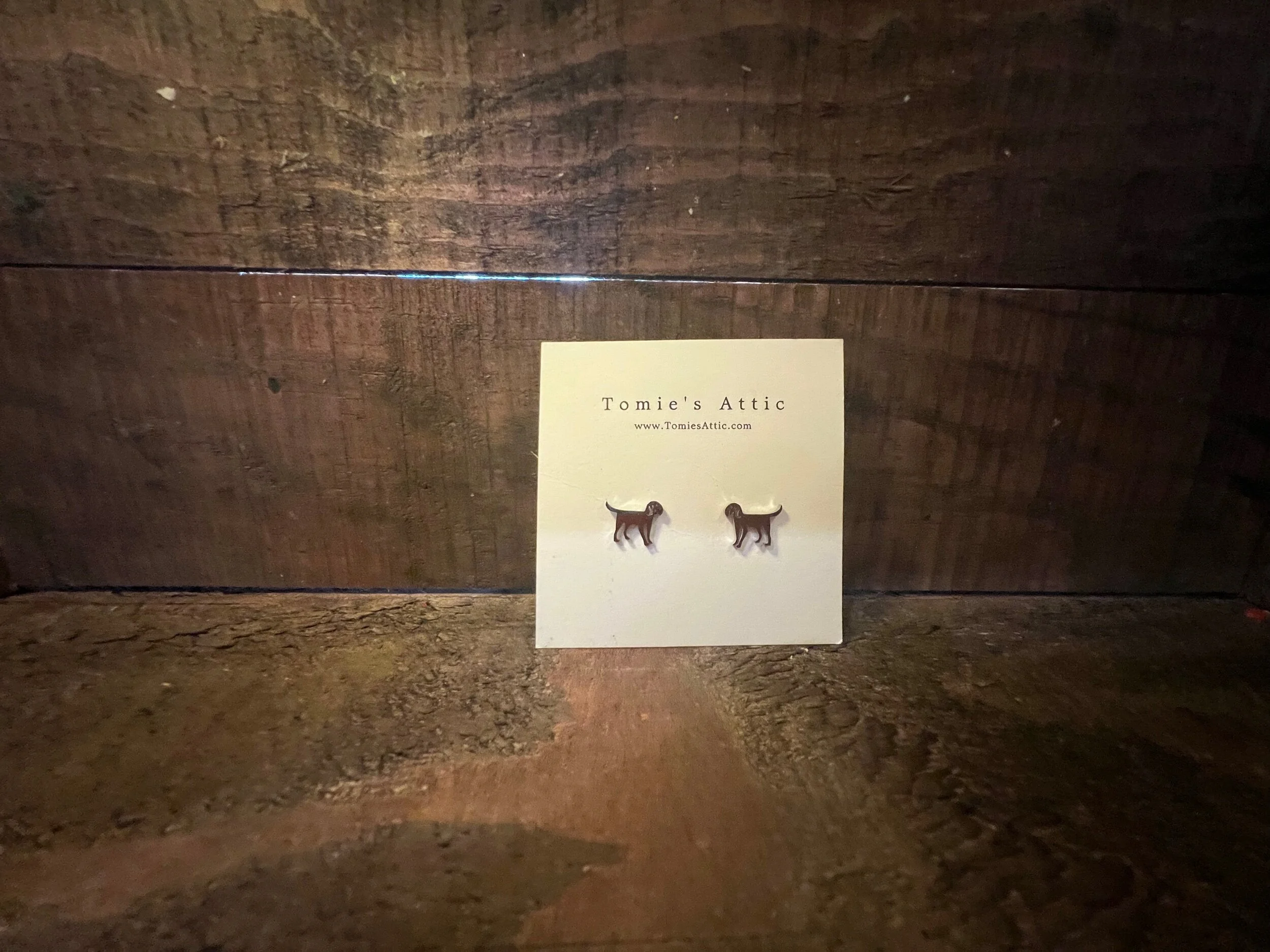 59BA39F3-1223-4B7A-BEEE-0B32F7CD1C46