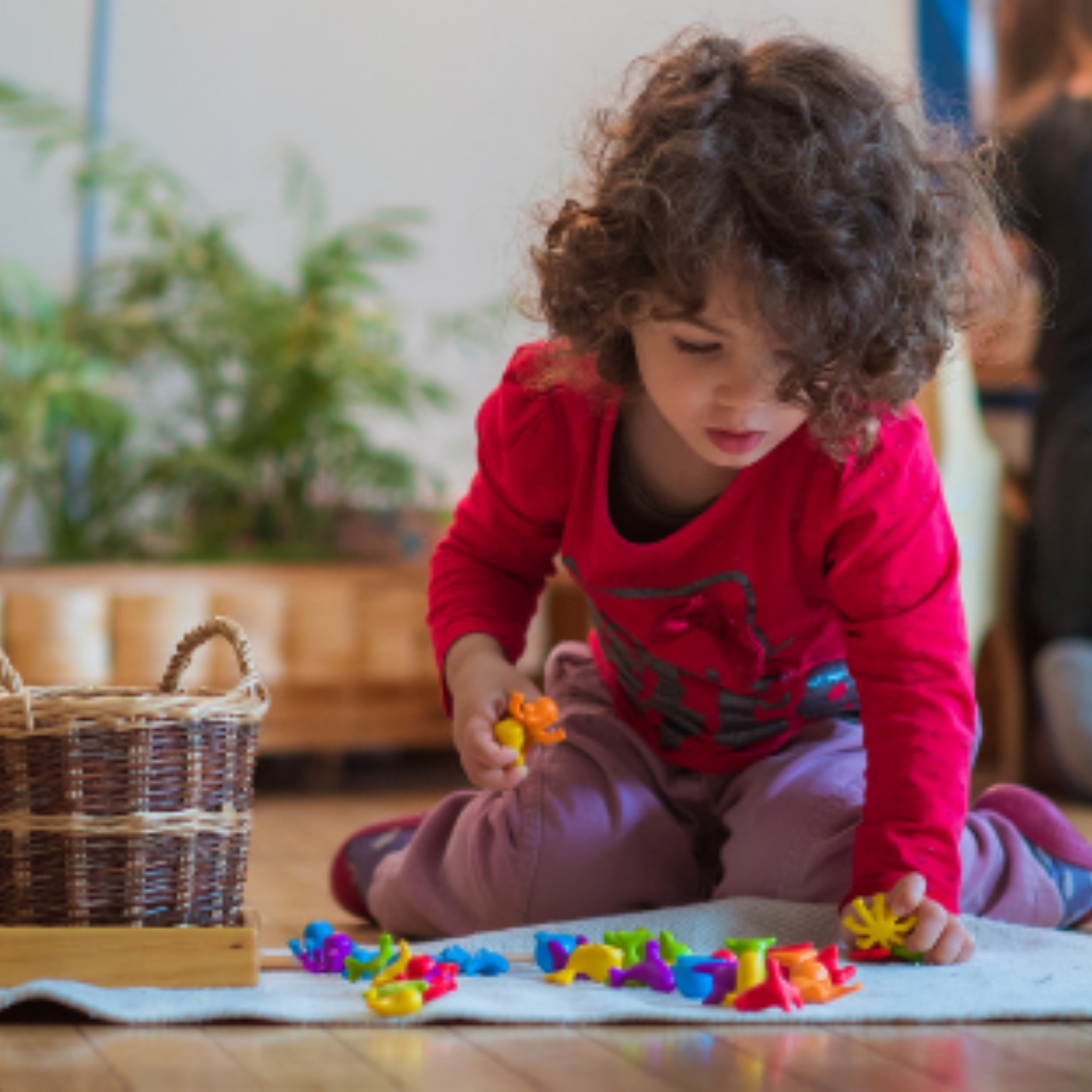 DC Wildflower Public Charter School