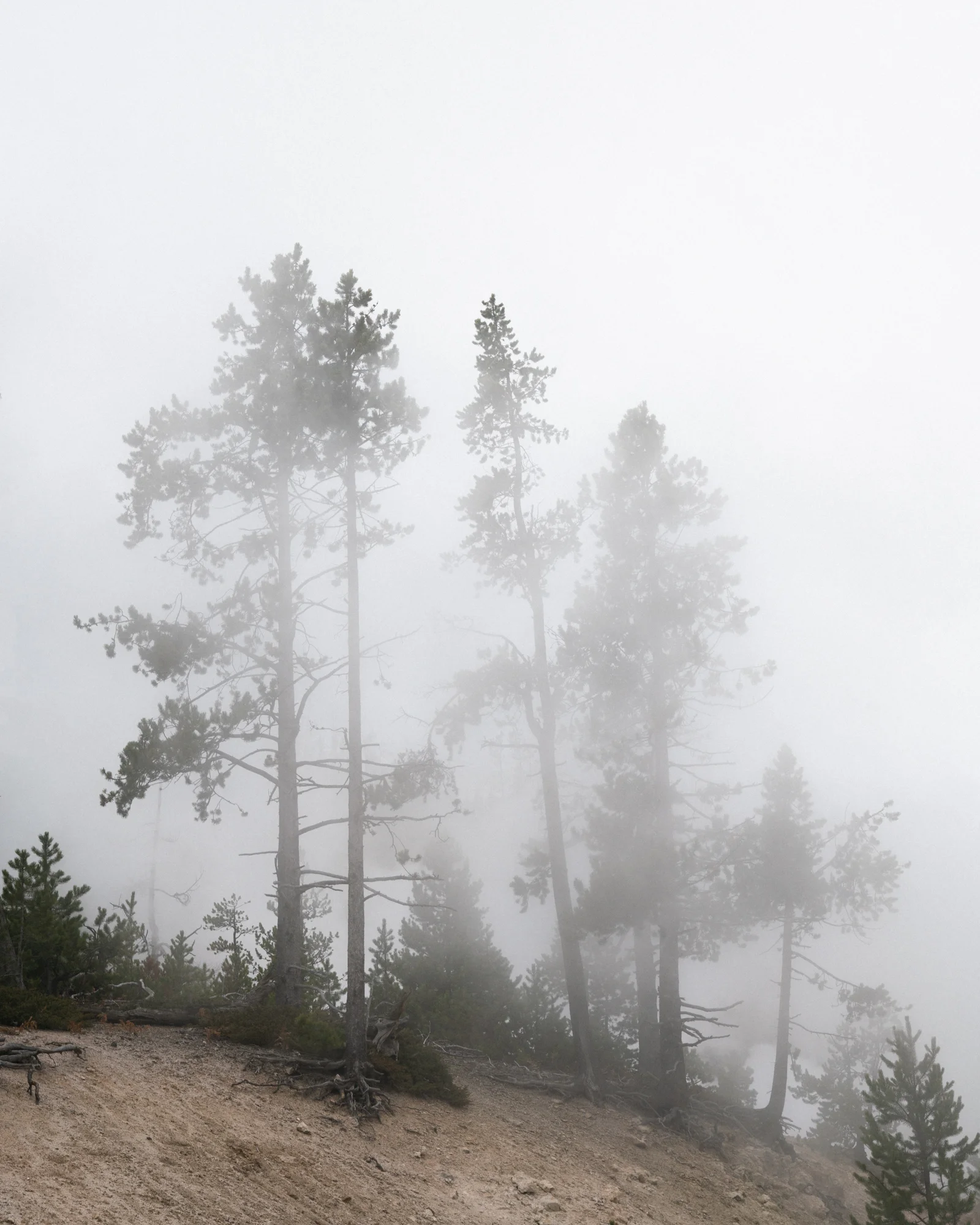 181010_MCCLARY_WYOMING_272-Edit.jpg