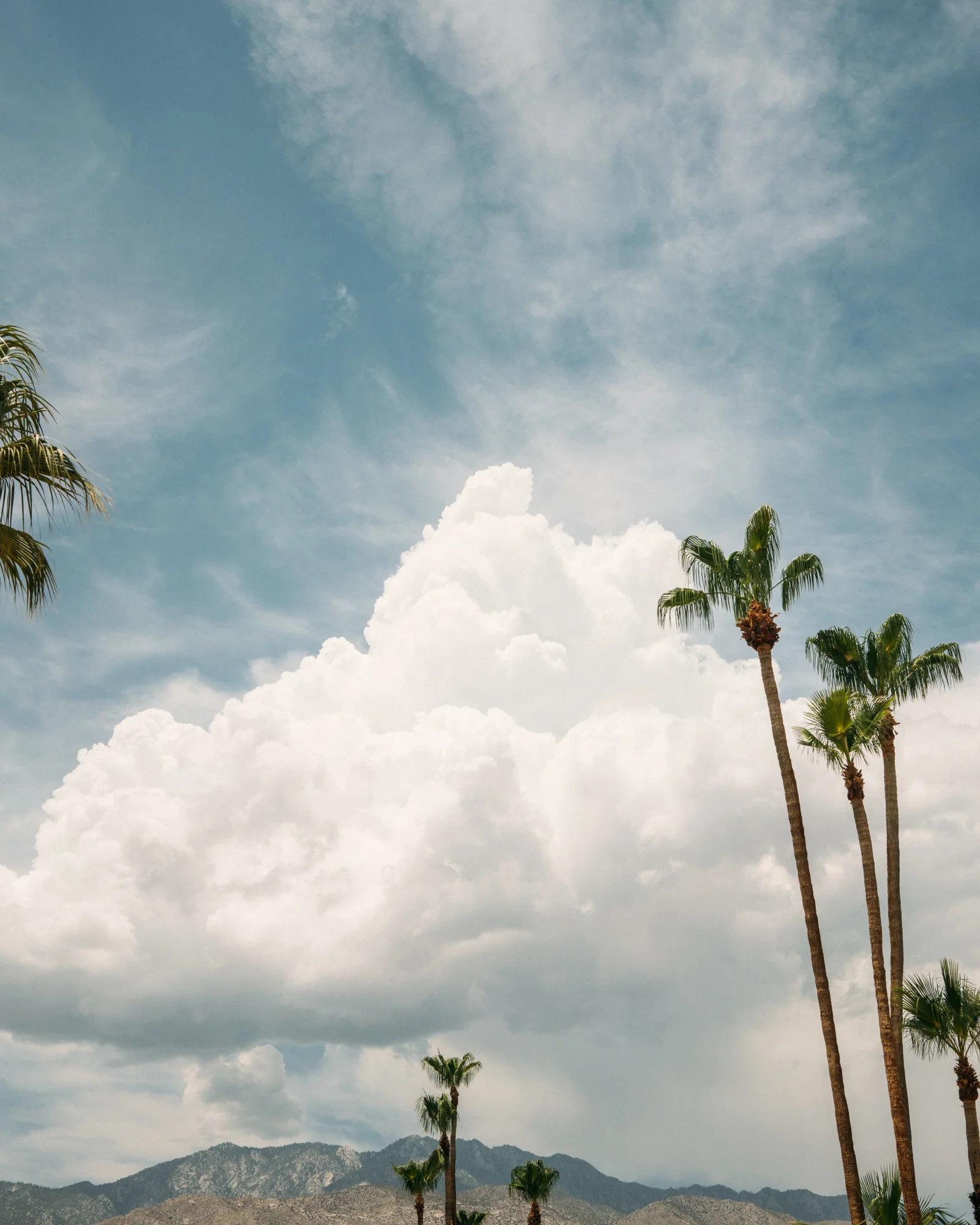 180708_MCCLARY_PALM-SPRINGS_41.jpg