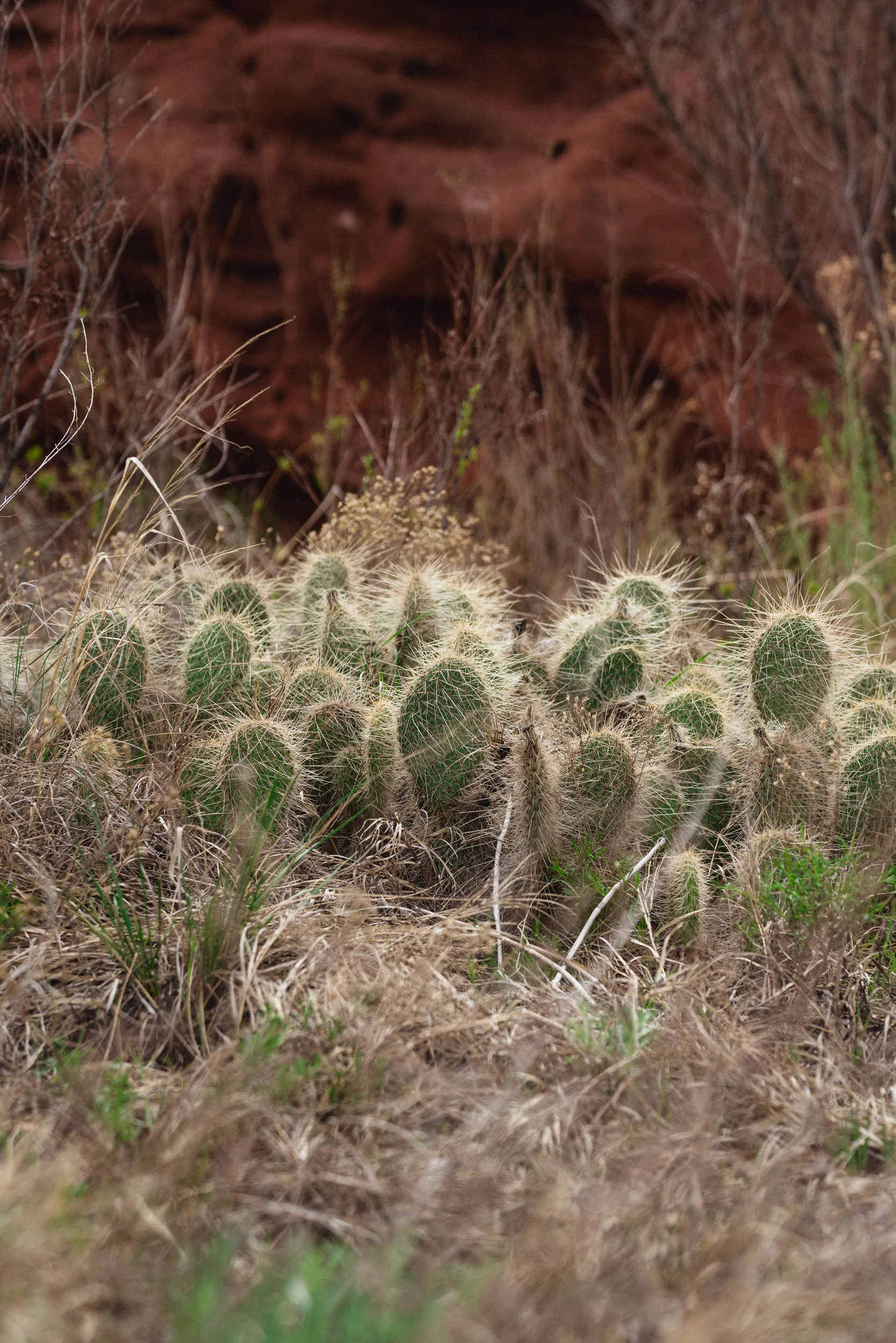 190409-ROAD-TRIP-1608.jpg