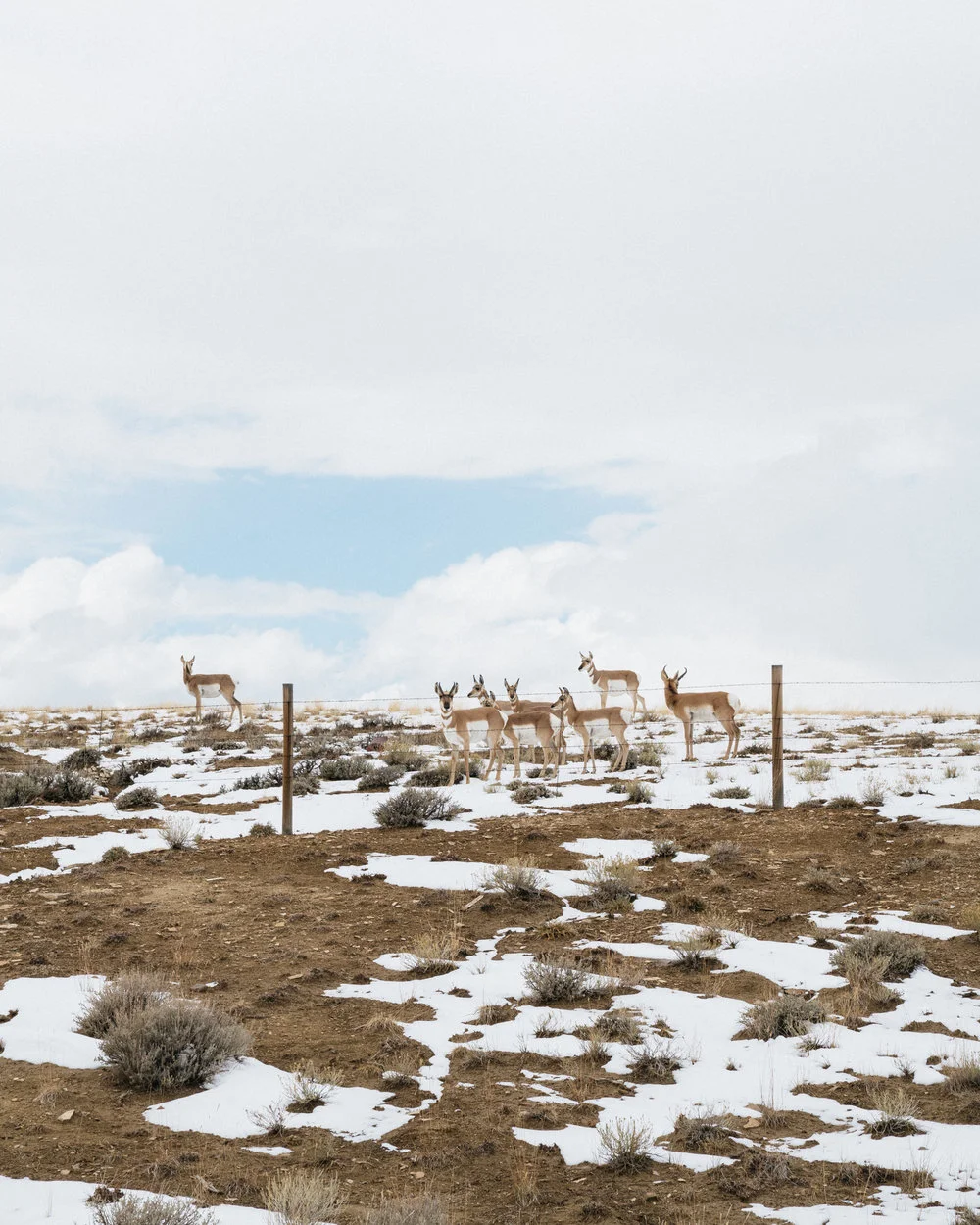 181011_MCCLARY_WYOMING_081.jpg