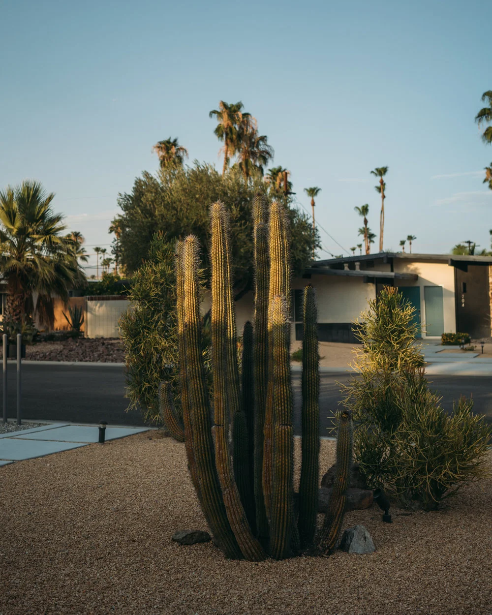 180706_MCCLARY_PALM-SPRINGS_08.jpg