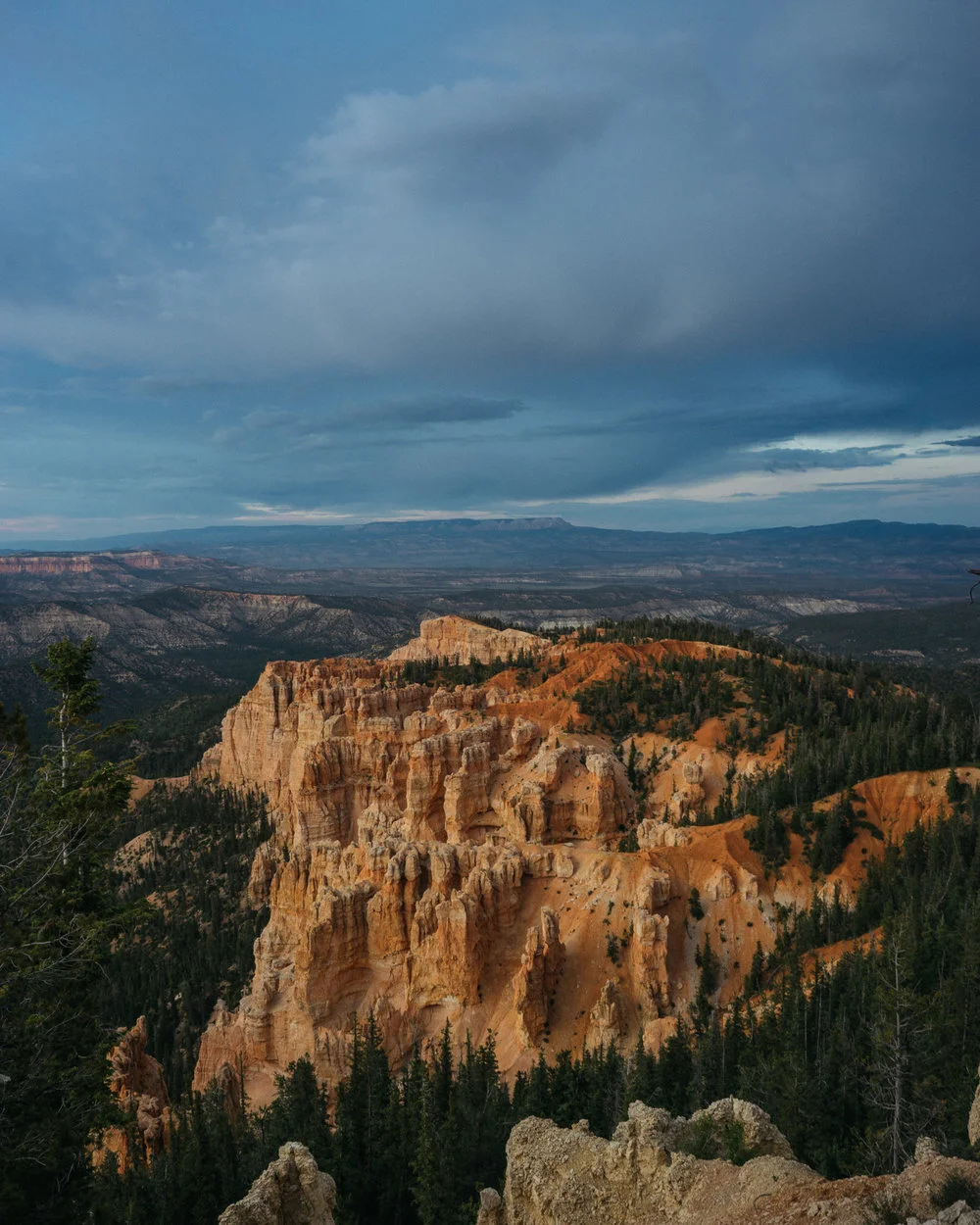 160611_BRYCE_MCCLARY_174.jpg
