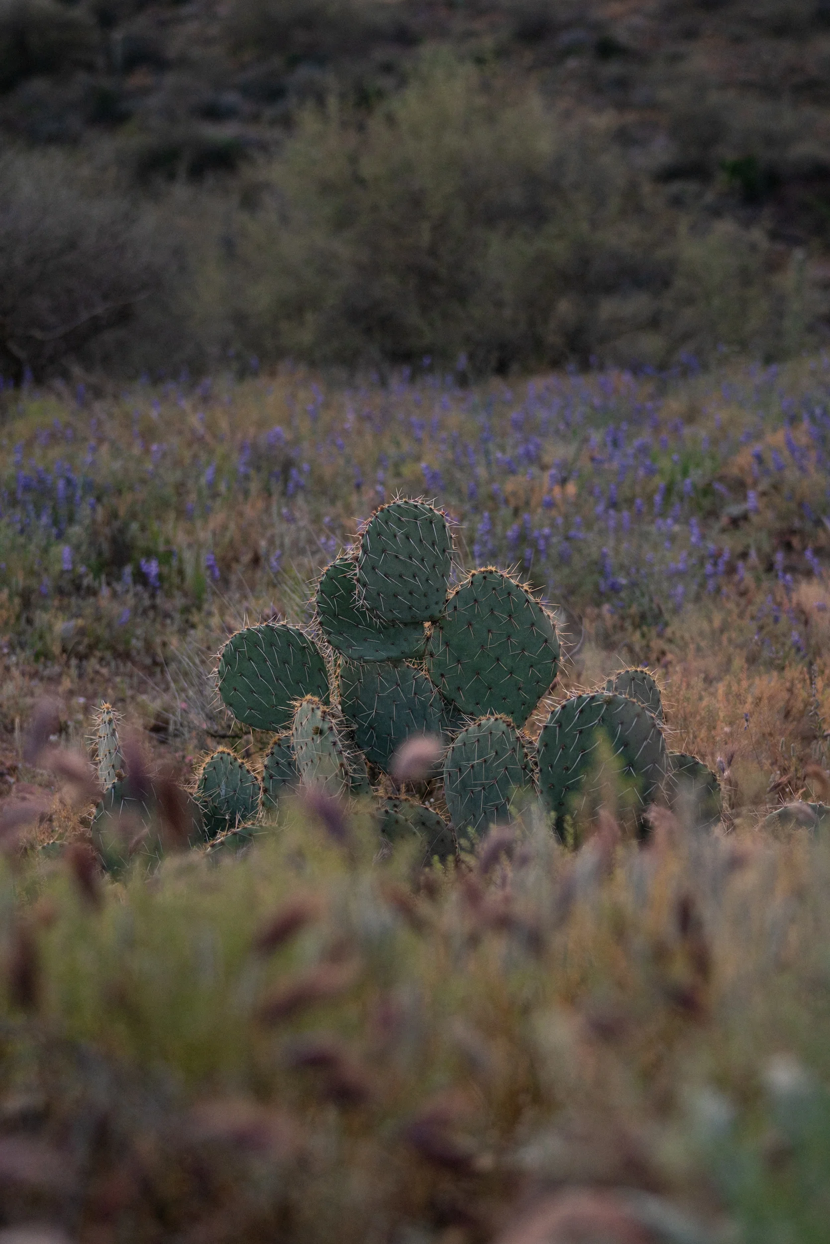190412-ROAD-TRIP-2388.jpg
