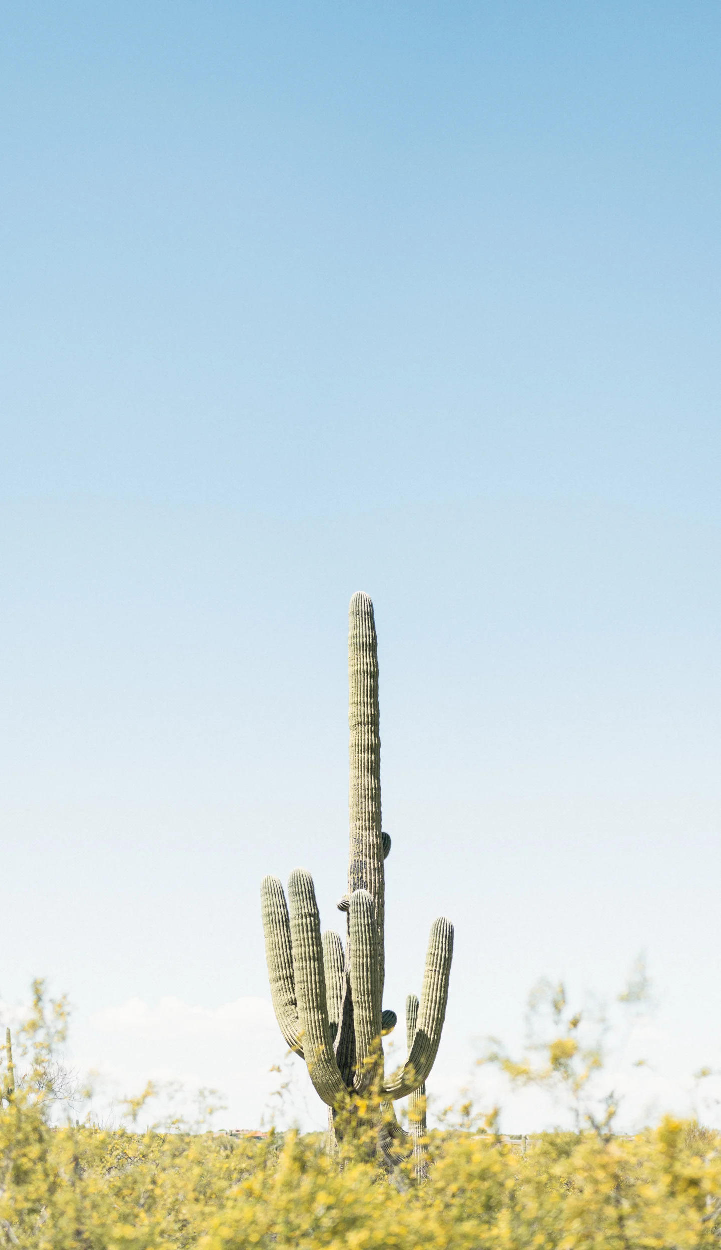 190413-ROADTRIP-3512-Pano.jpg