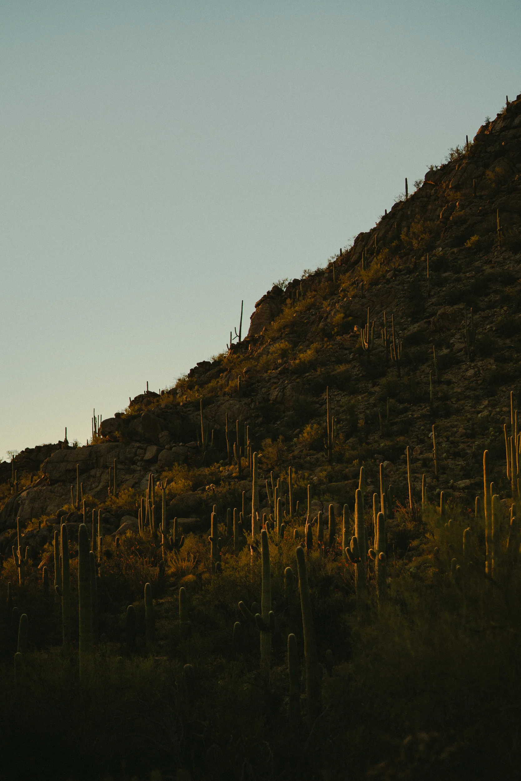 190413-ROADTRIP-3788.jpg