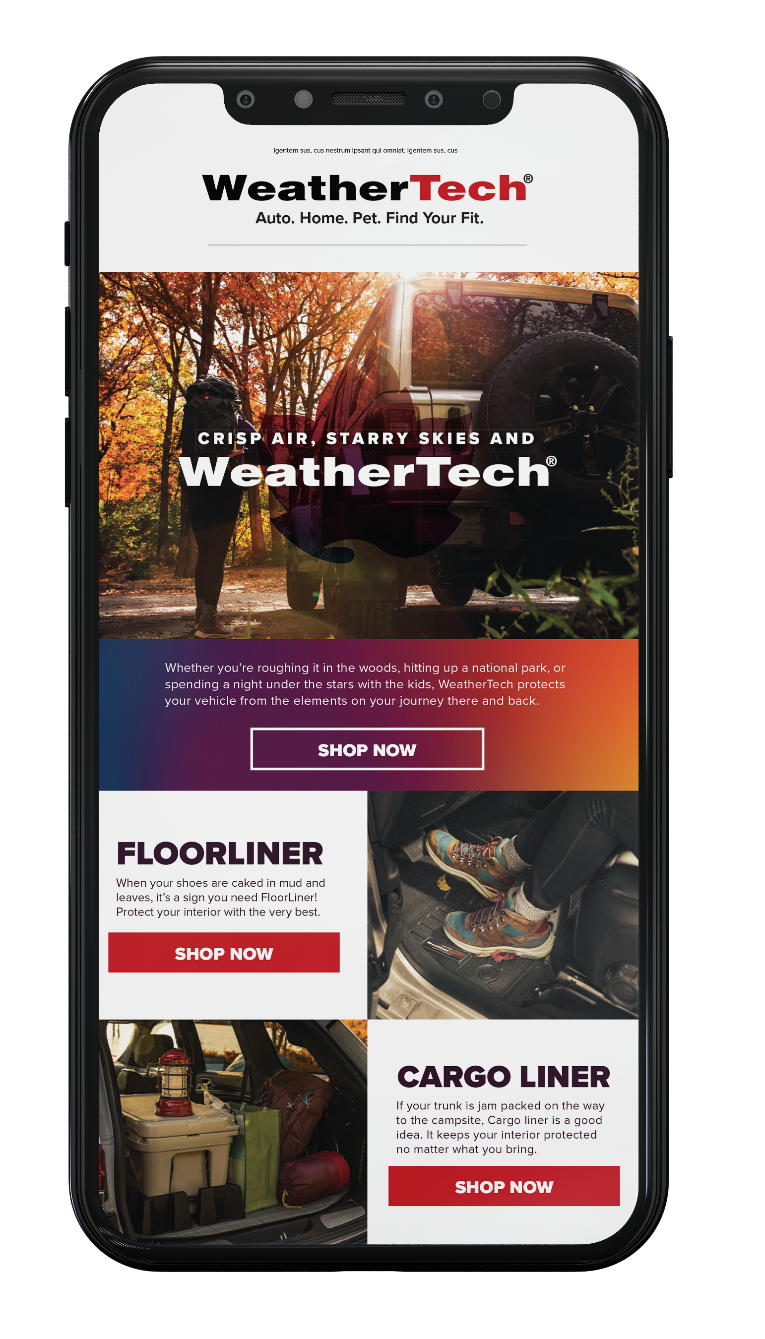 Autumn Focused E-mail