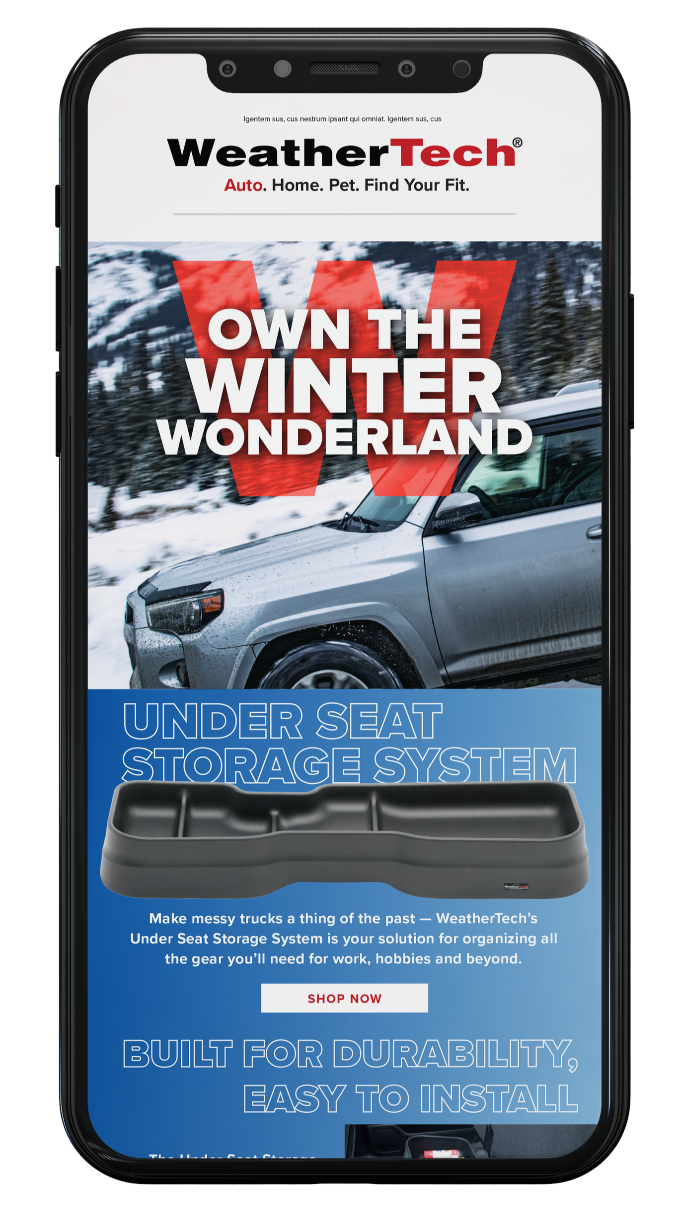 Winter Focused E-mail