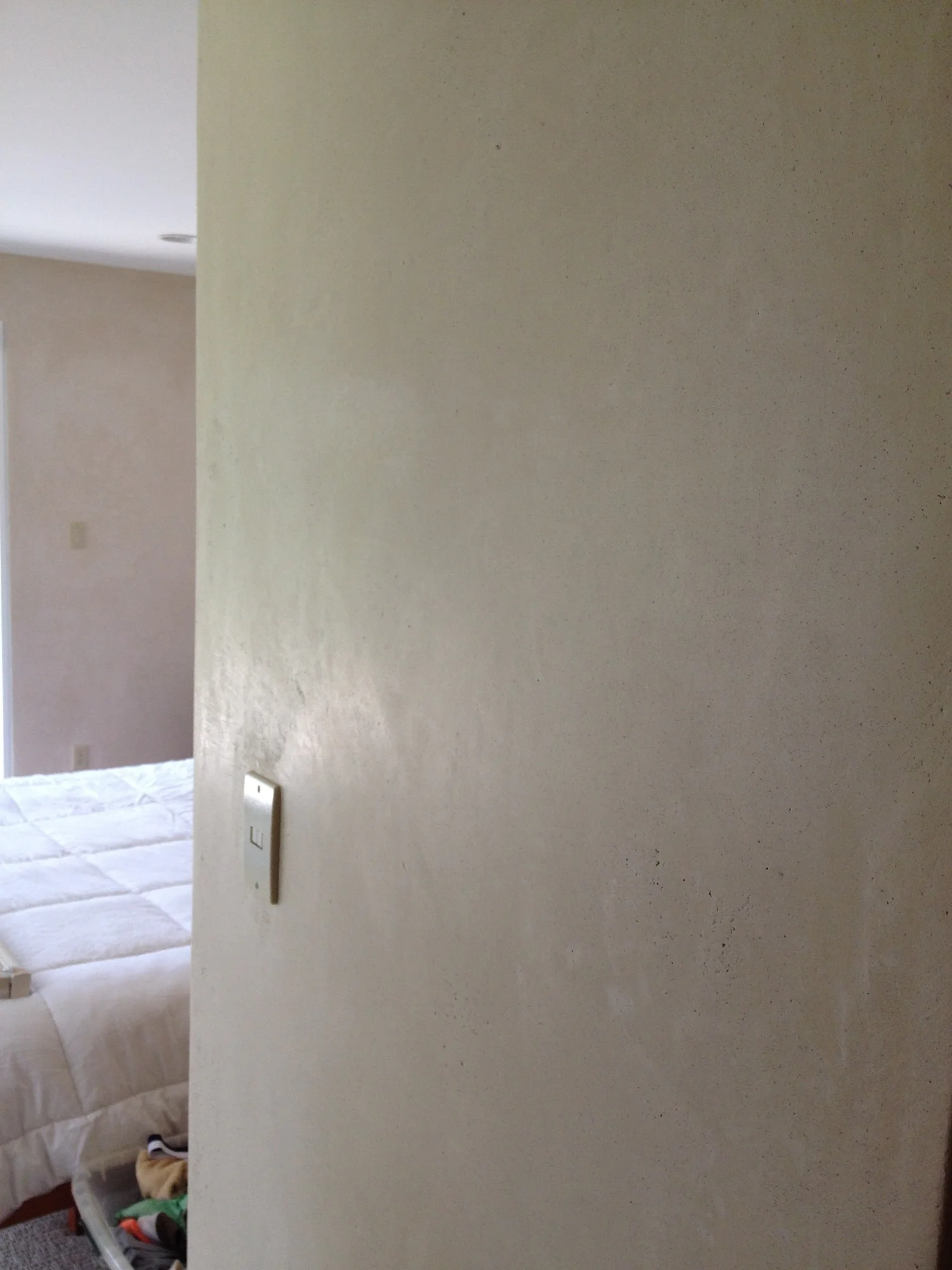  Custom Pitted/Polished Lime Plaster 