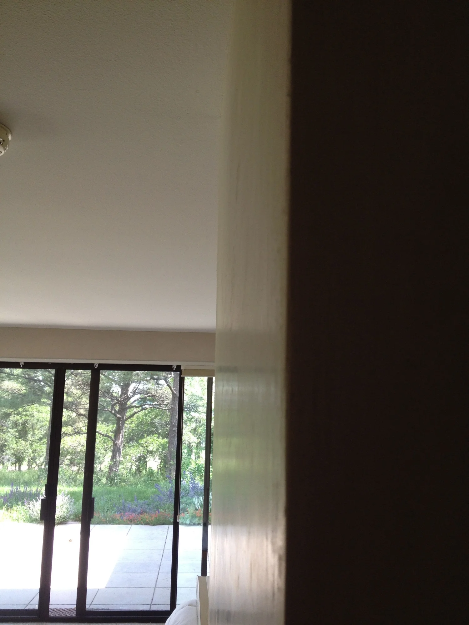  Light Reflection on Lime Plaster 