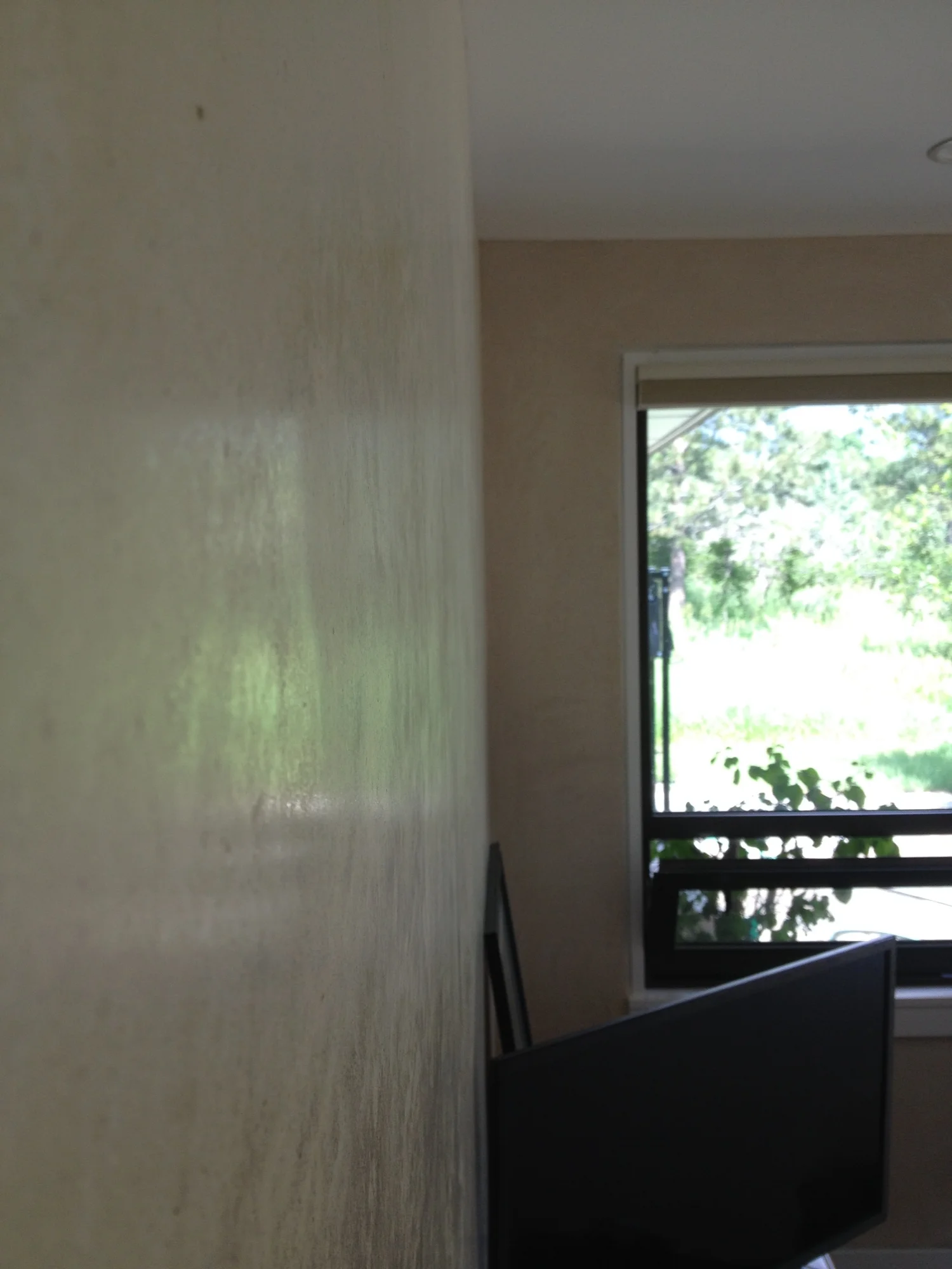  Subtle sheen and movement of Lime Plaster 