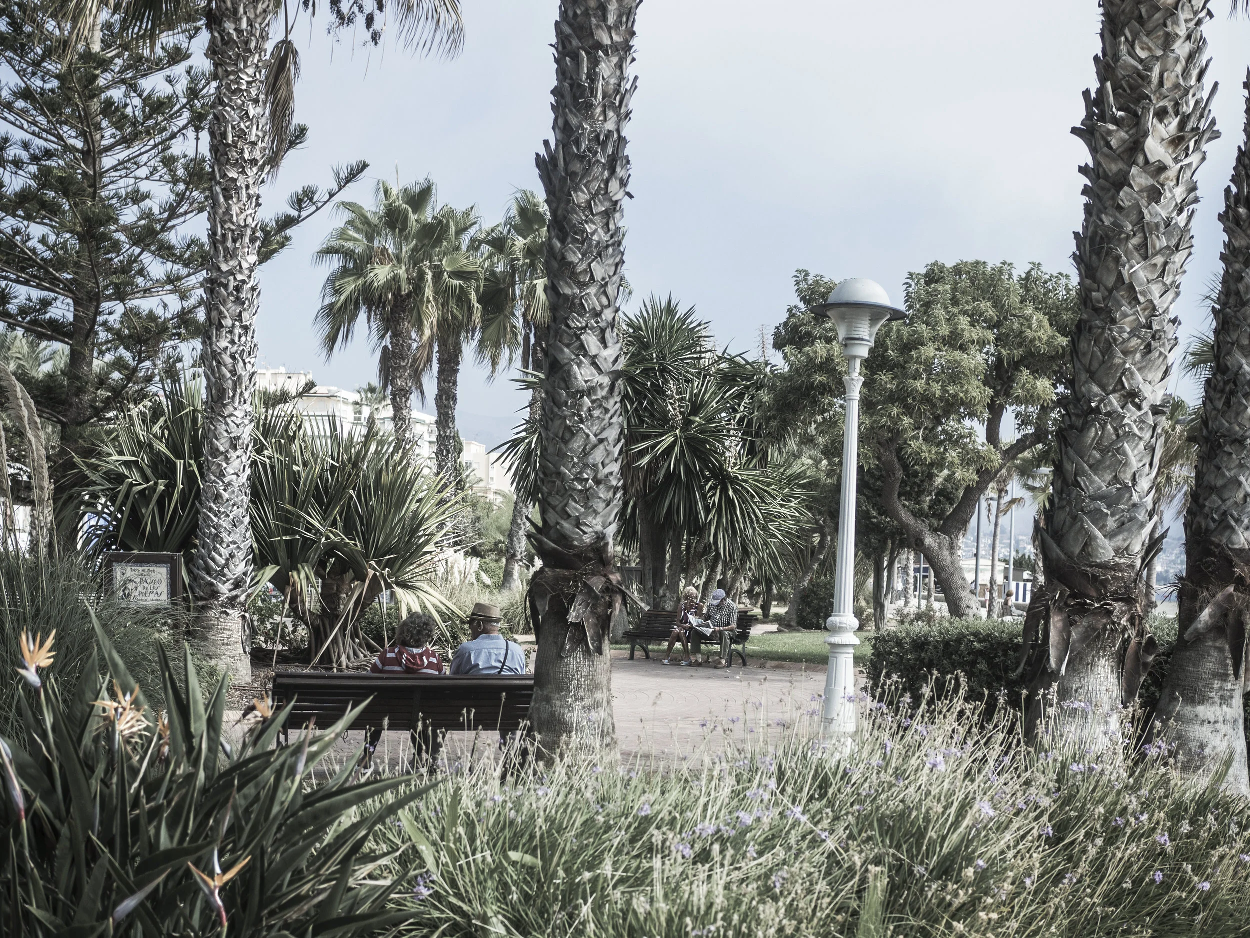 palms relax street photography
