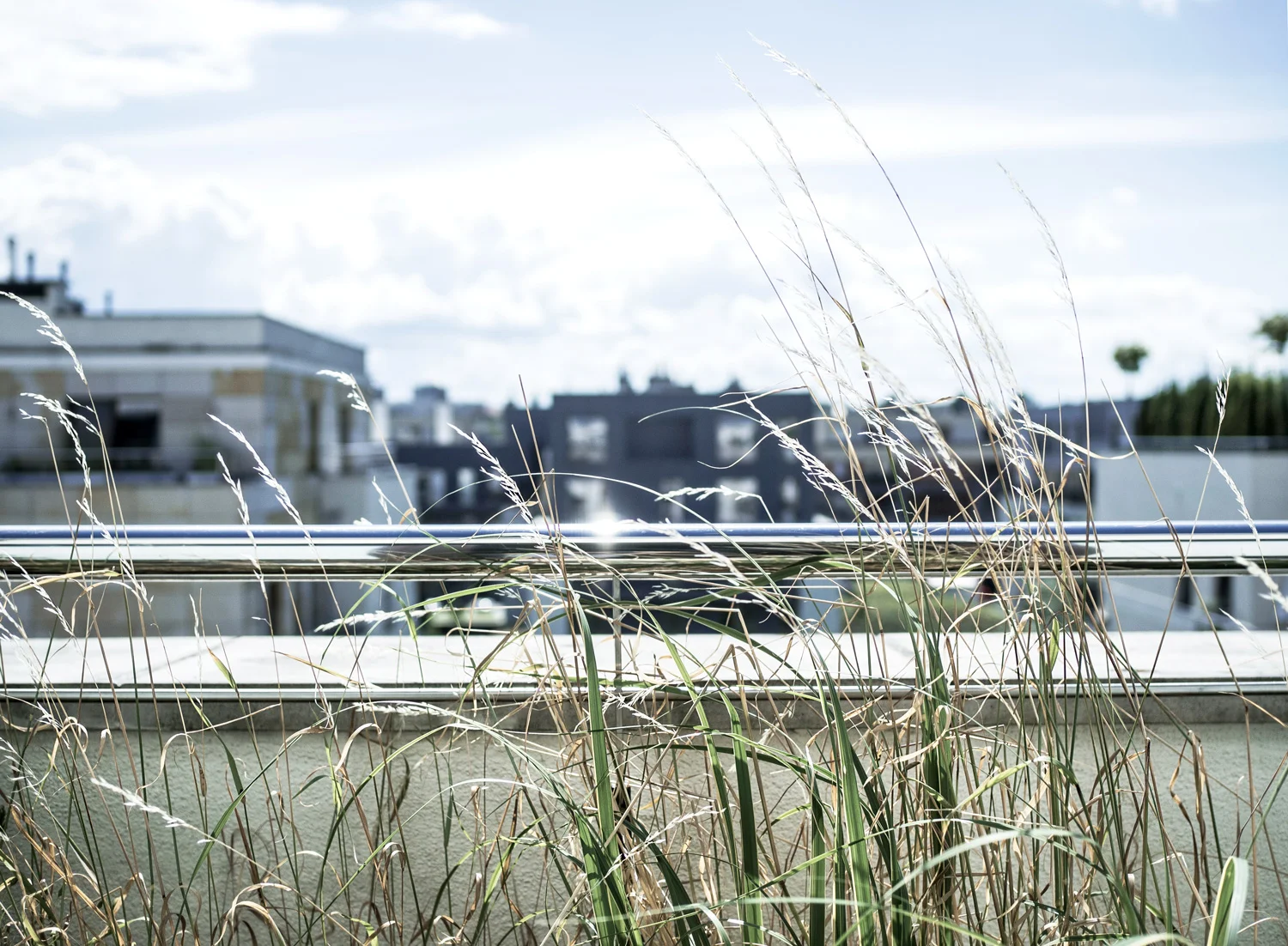 street photography blog city nature scandi