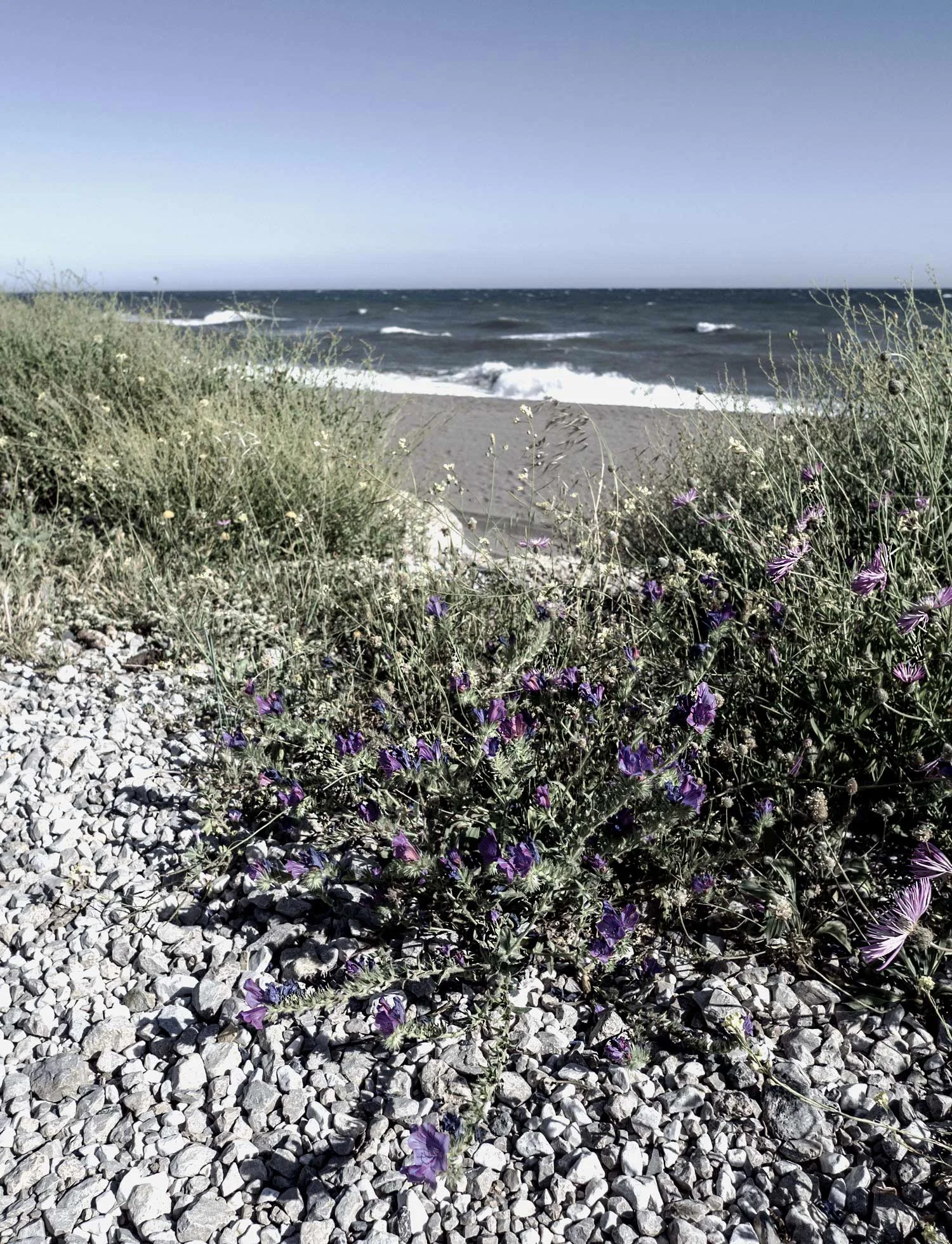 P4281250webniebo.jpg