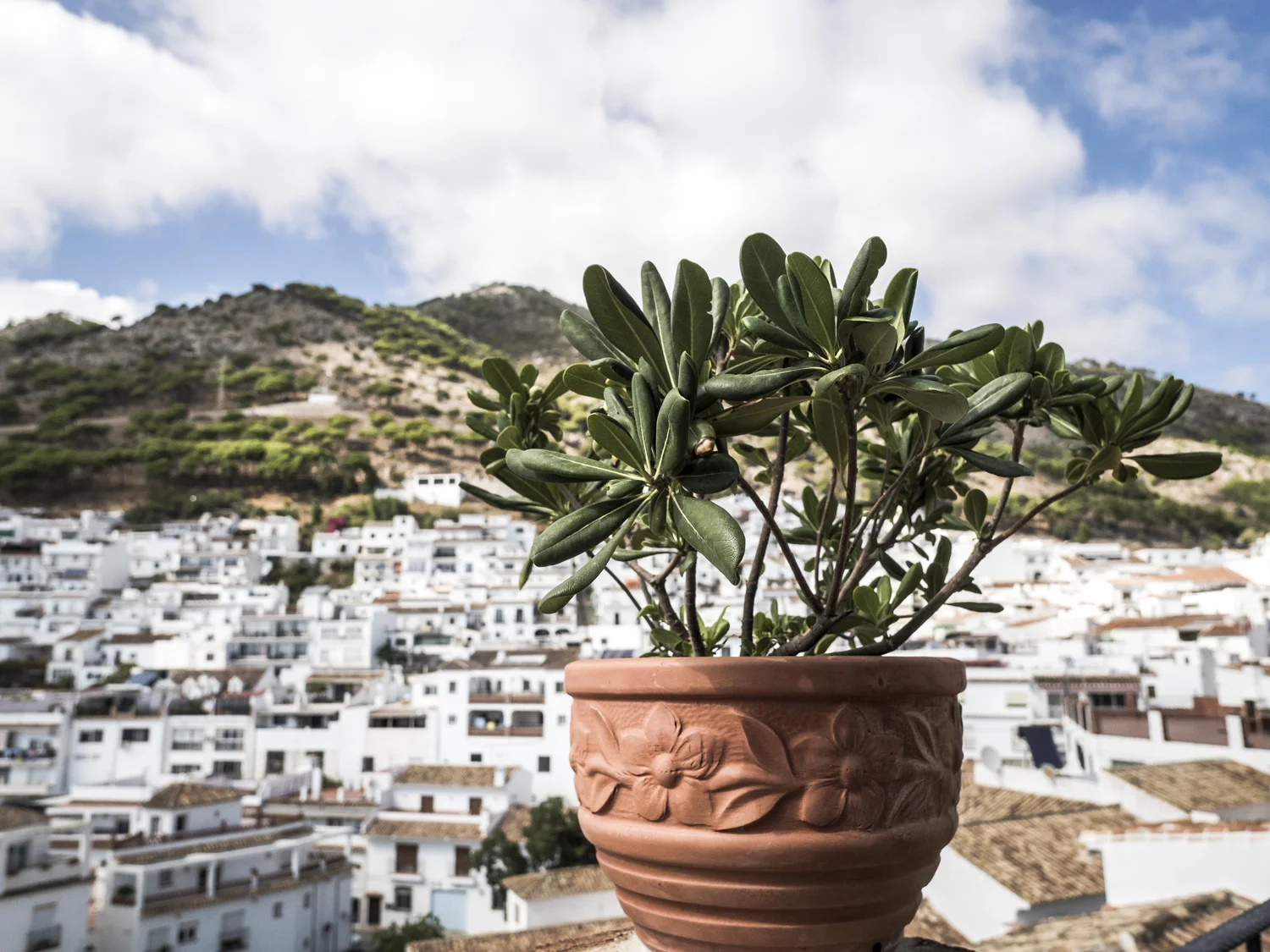 mikuta like street photography