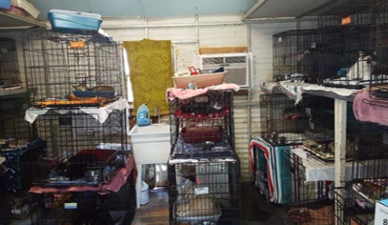 inside of shed where cats are stacked.png