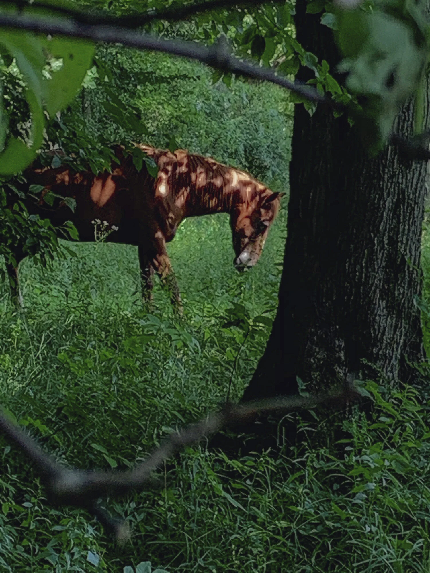 2021_0106_Walker_IMG_2797 2_08.JPG