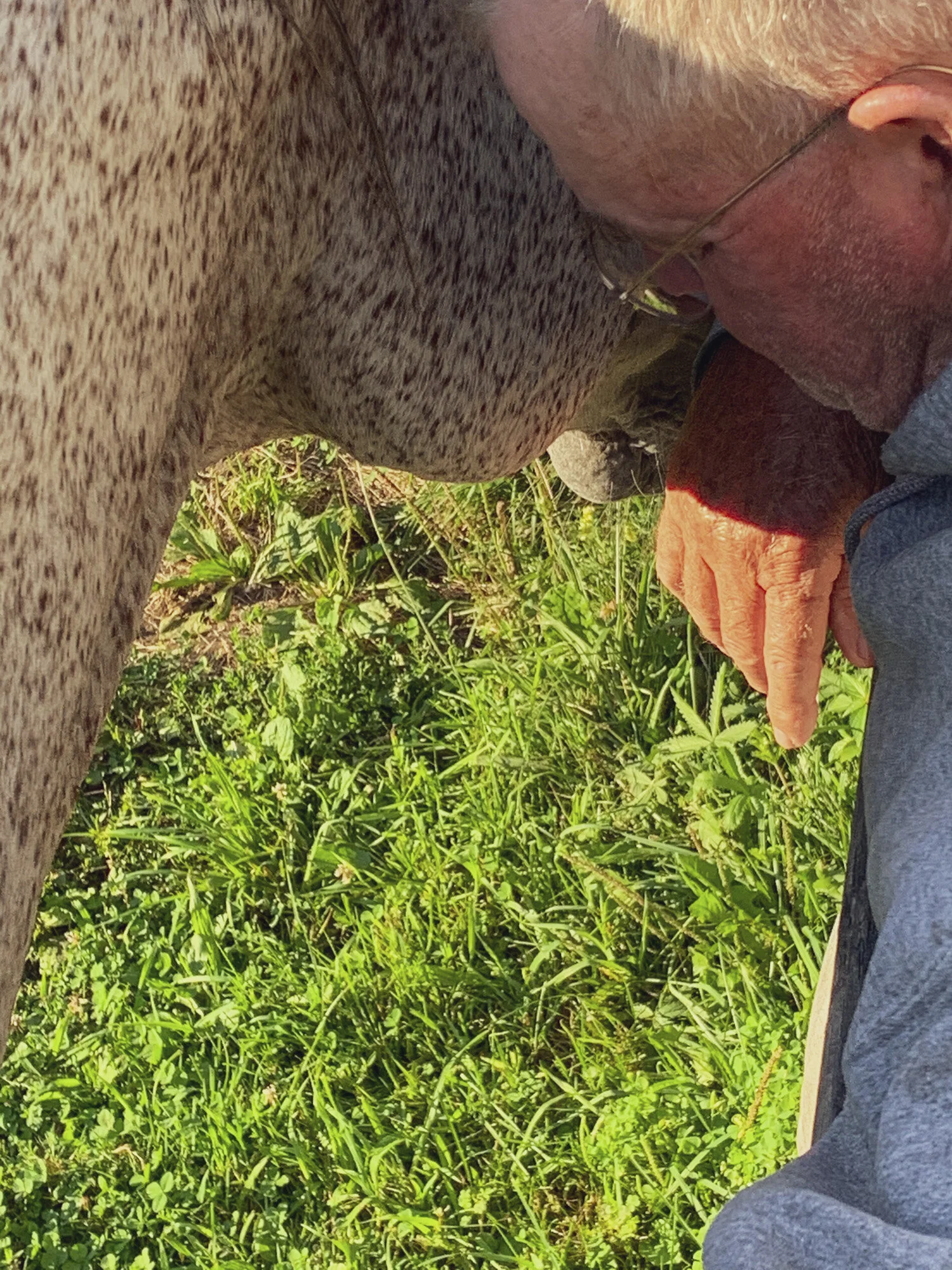 2021_0106_Walker_IMG_4414 2_09.JPG