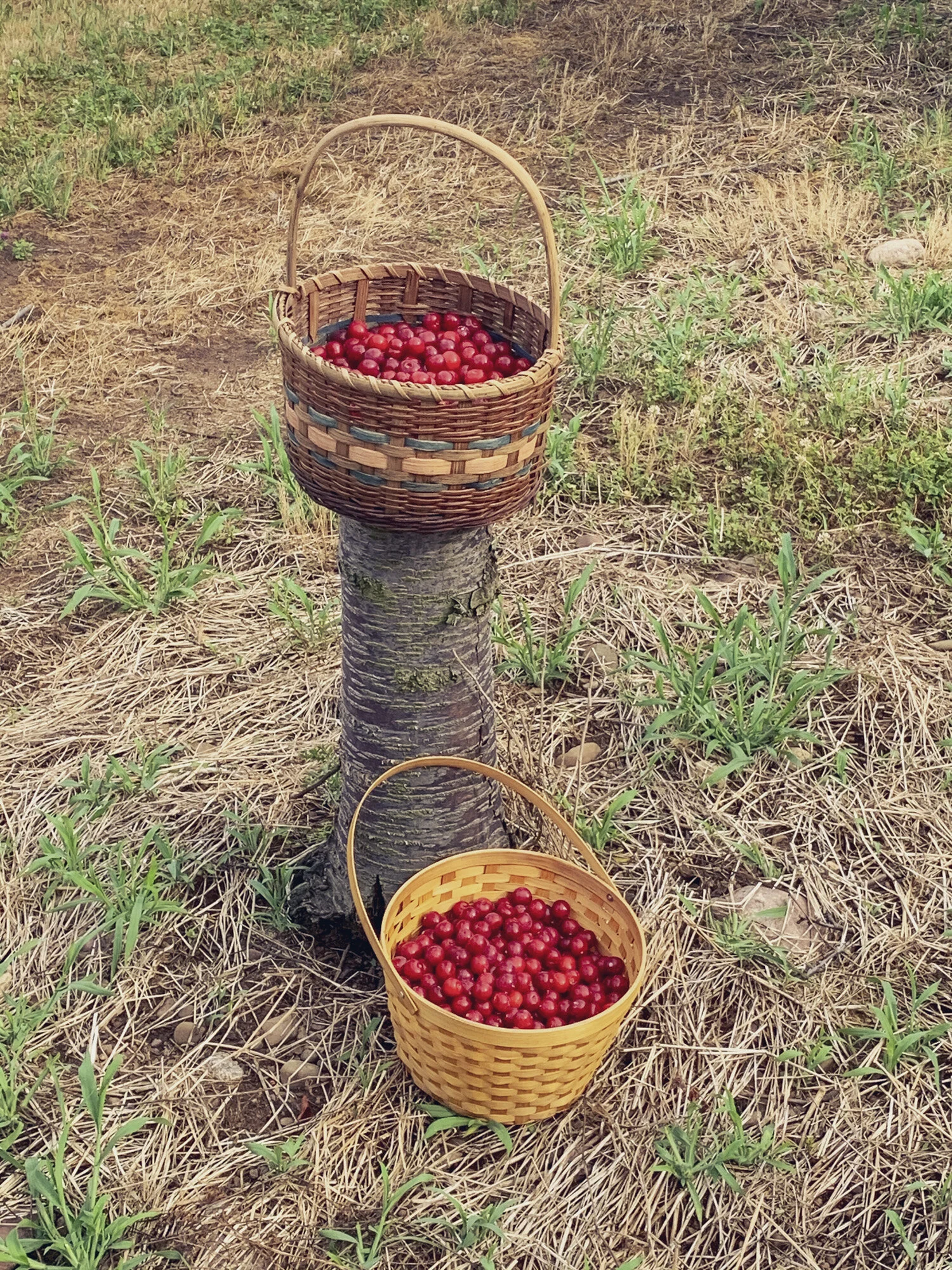 2021_0106_Walker_IMG_2405 2_75.JPG