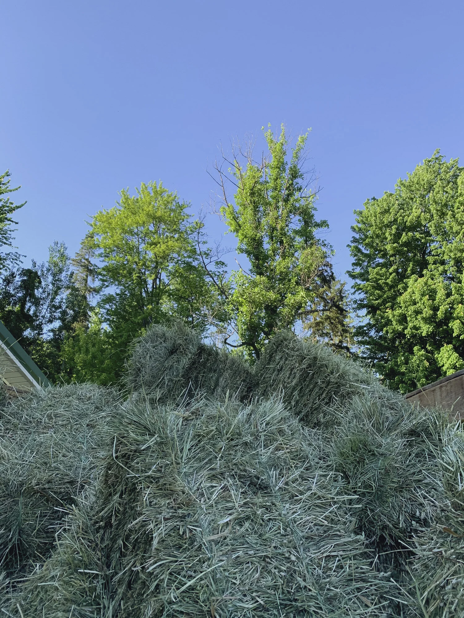 2021_0106_Walker_IMG_0992 2_50.JPG