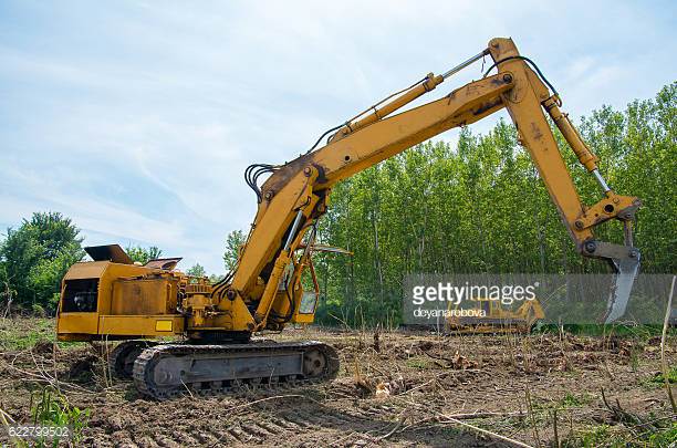 Photo by deyanarobova/iStock / Getty Images
