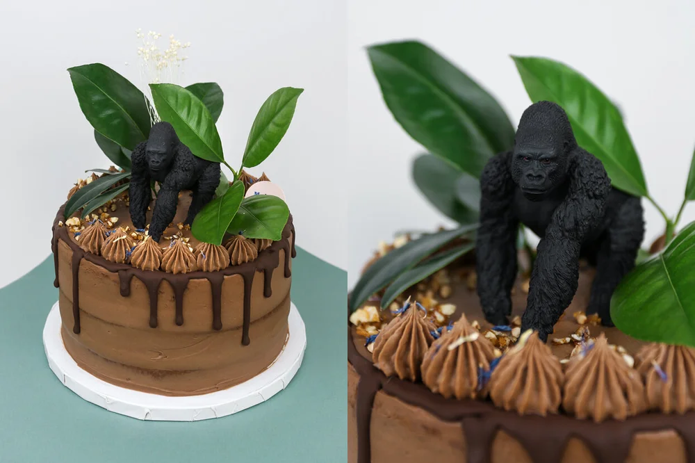 Gateau D Anniversaire Maison Mimosa