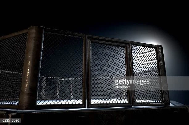 Photo by allanswart/iStock / Getty Images