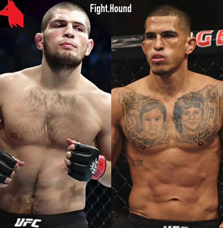 UFC 223: What You Need to Know
