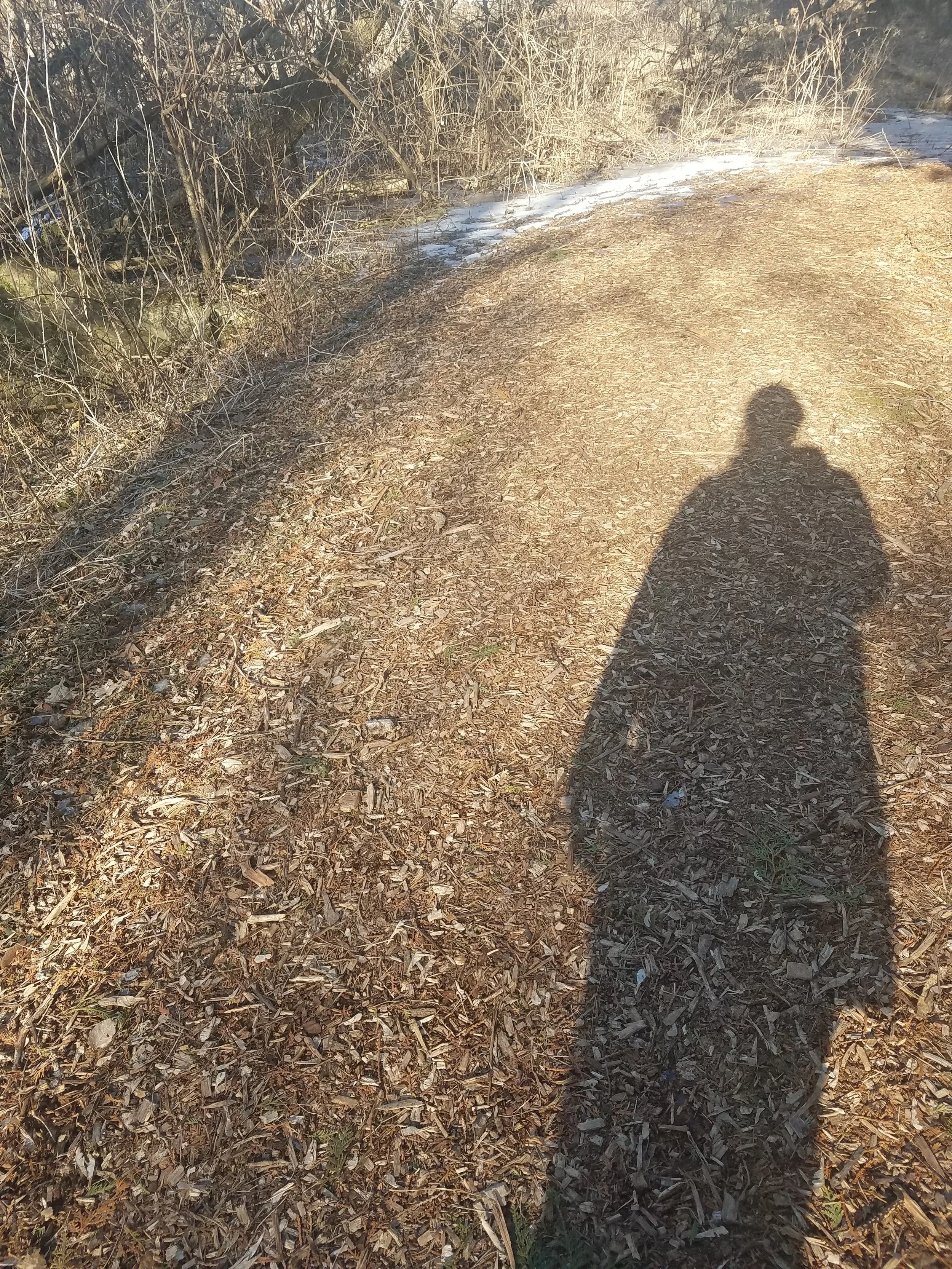 20180322_172443.jpg