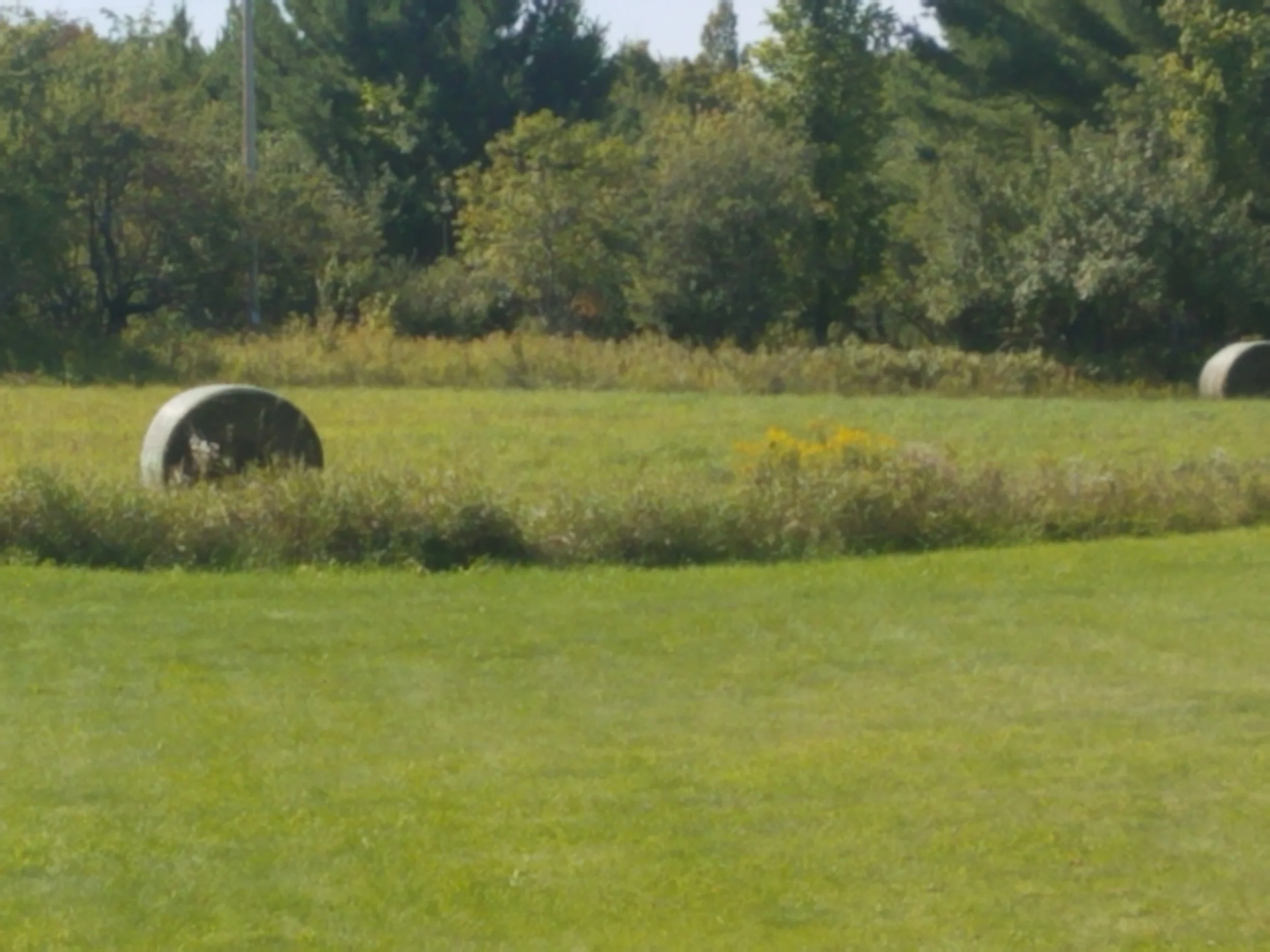 20180909_152042.jpg