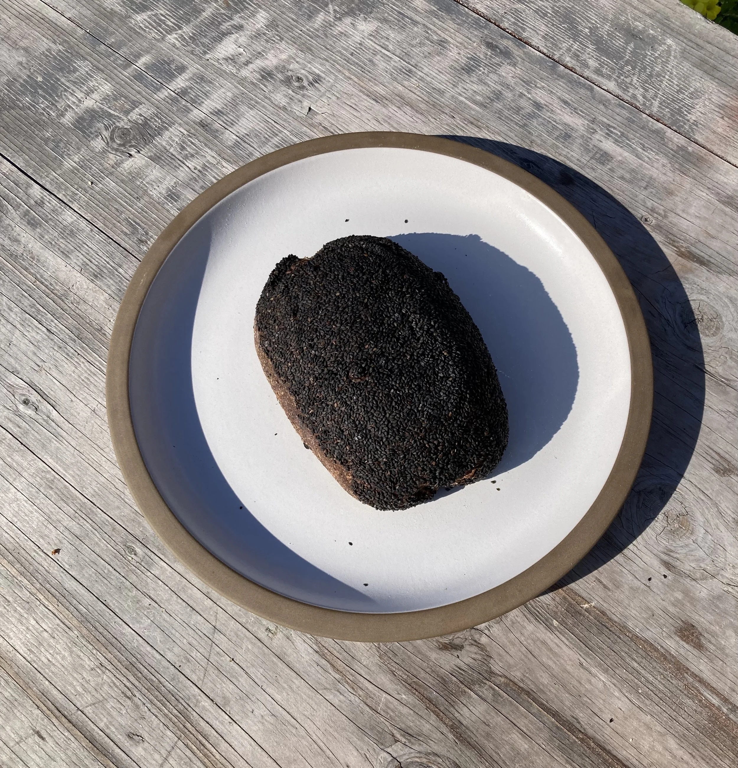 BLOOB WEBSITE PIC.jpg