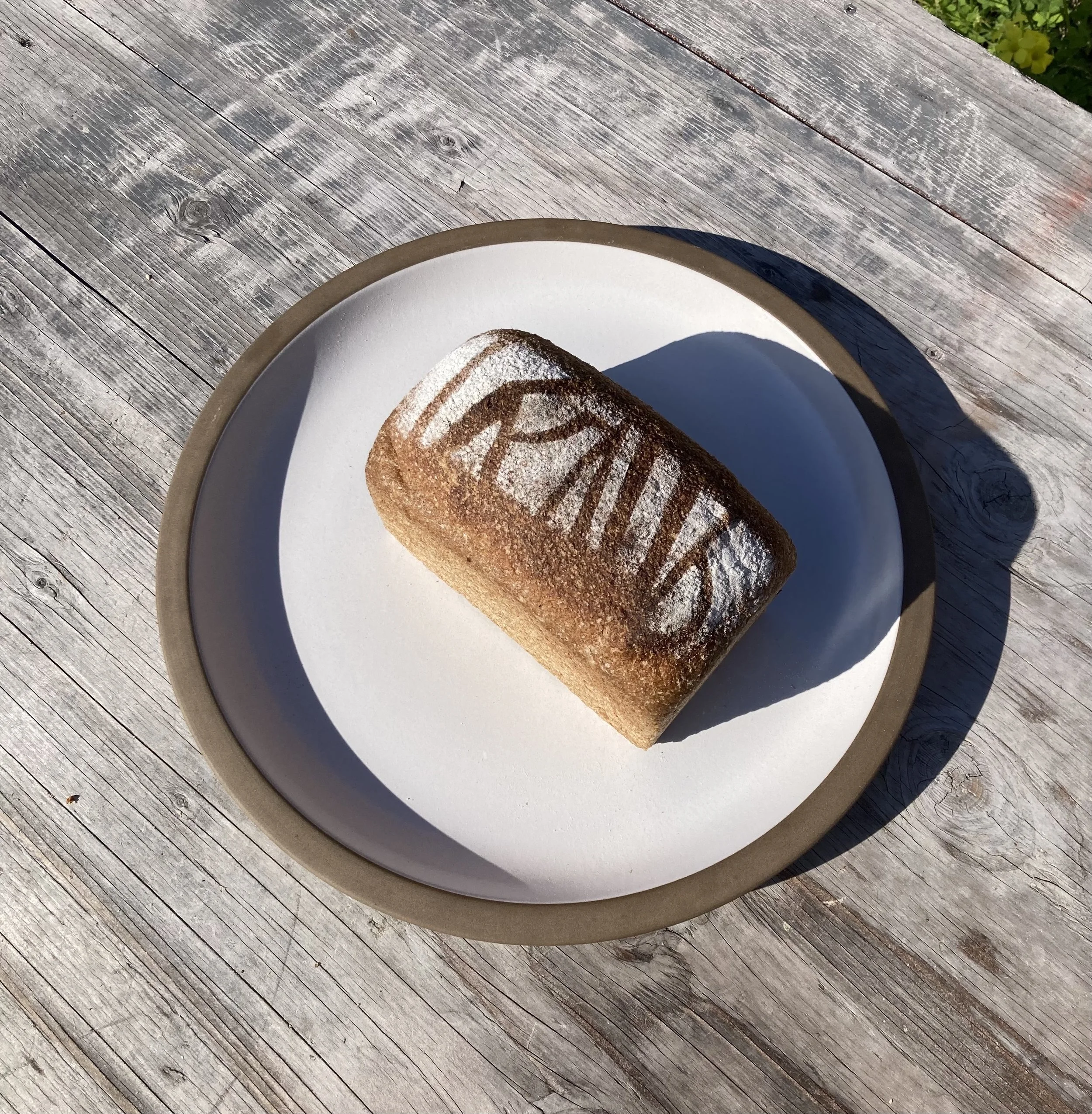 SANDO WEBSITE PIC.jpg