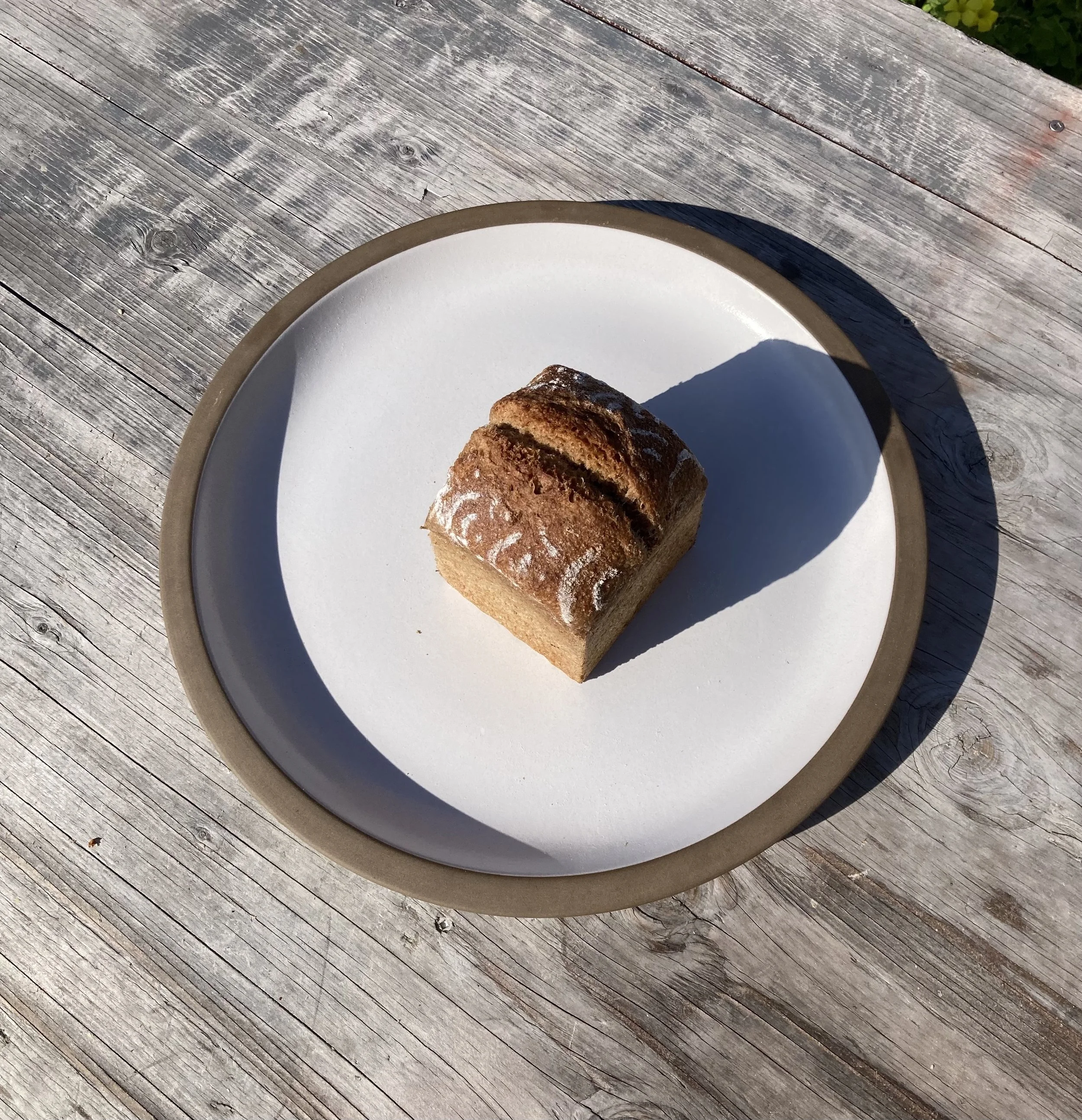 SPELT WEBSITE PIC.jpg