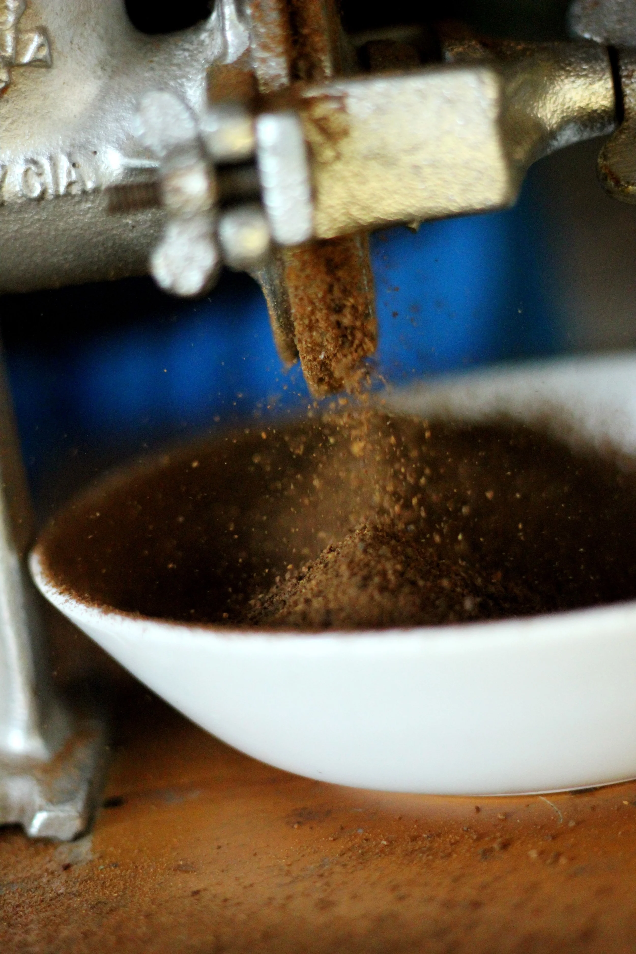 ecuadormayterm2013 903.JPG