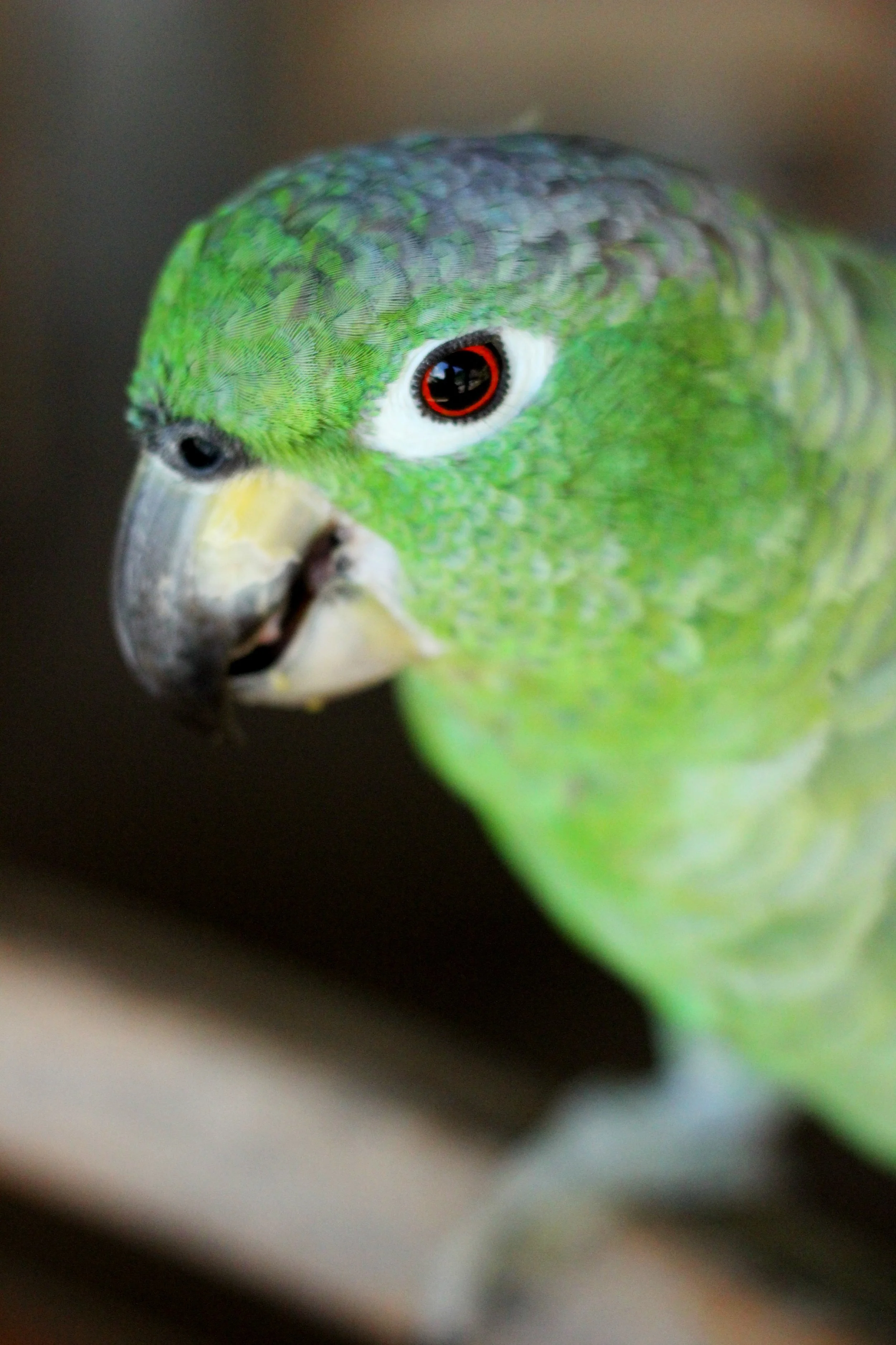 ecuadormayterm2013 995.JPG